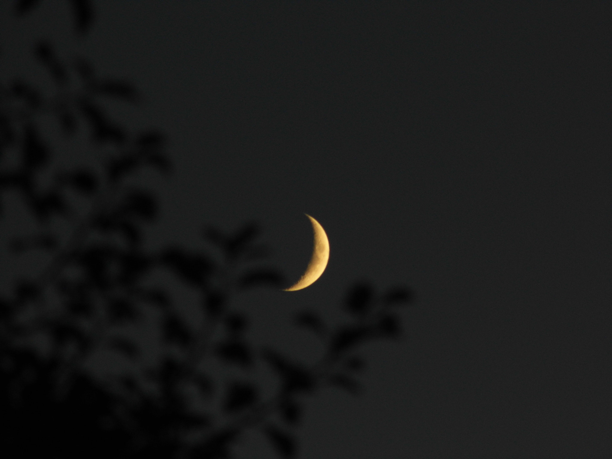 HITACHI HBC-1600E sample photo. Tonight moon photography