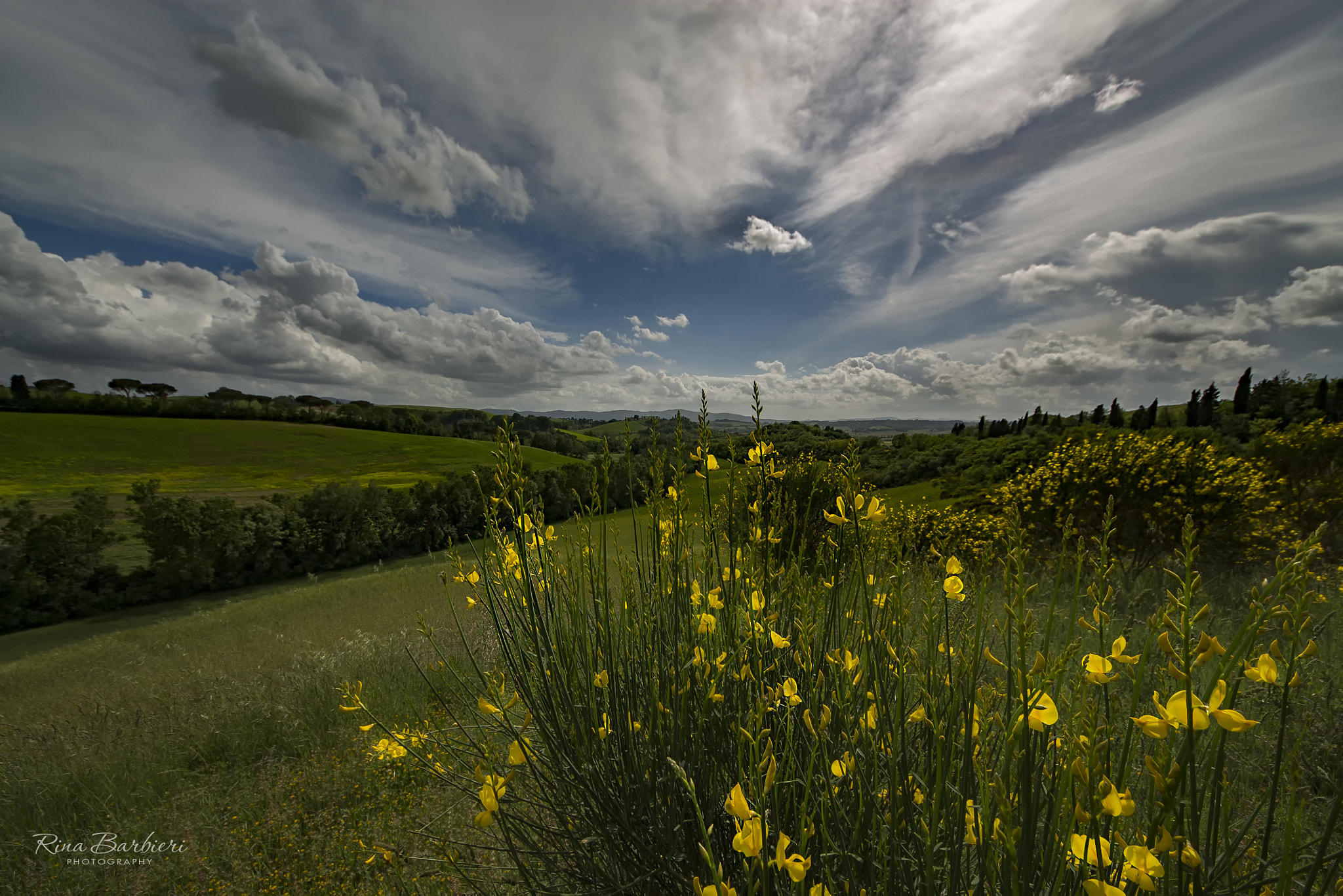 Sigma 8-16mm F4.5-5.6 DC HSM sample photo. Broom photography
