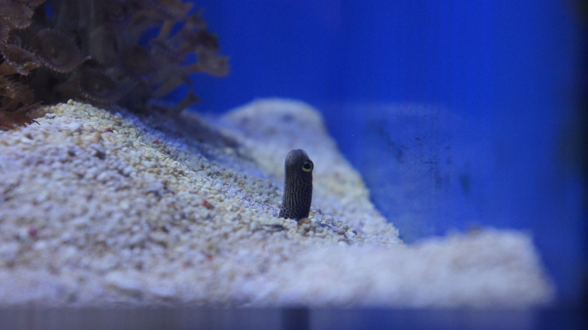 Sony Alpha NEX-3 sample photo