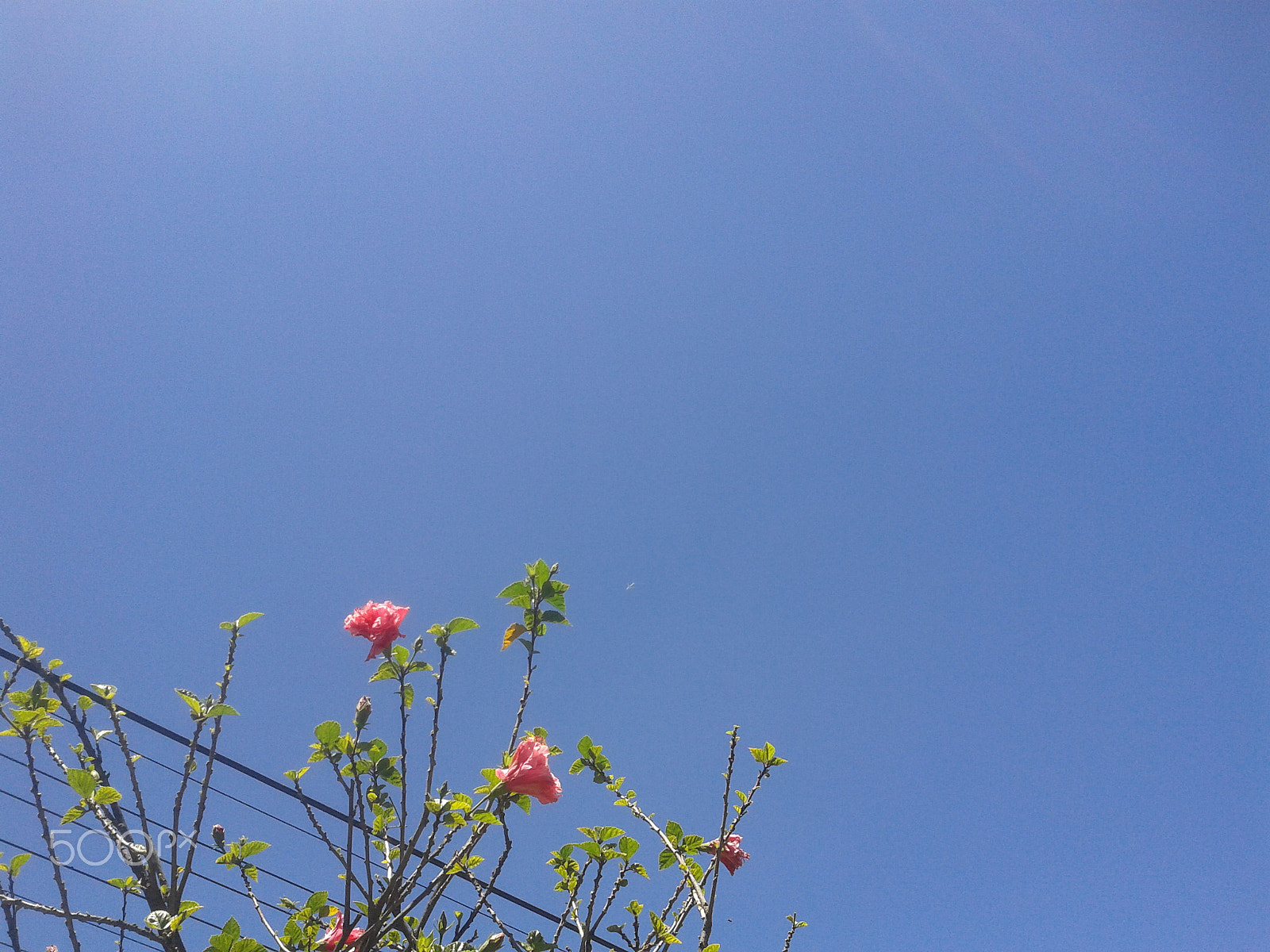 Samsung Galaxy Ace Duos sample photo. Deep blue 2 photography