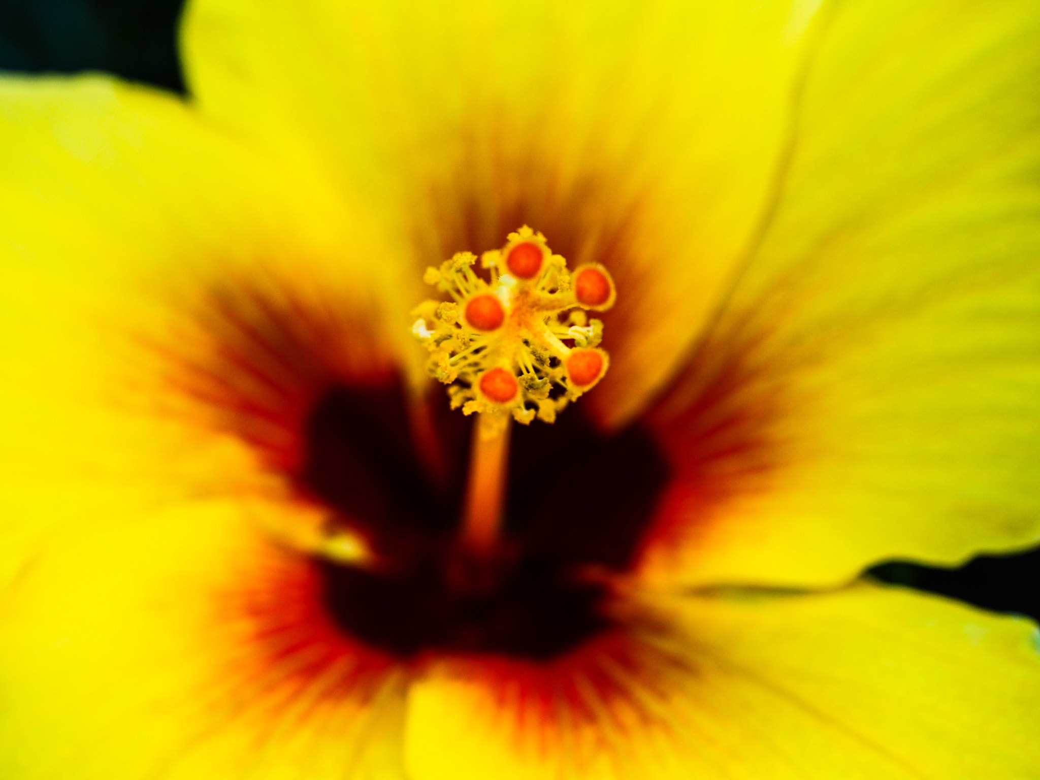 Panasonic Leica DG Macro-Elmarit 45mm F2.8 ASPH OIS sample photo. Standing out photography