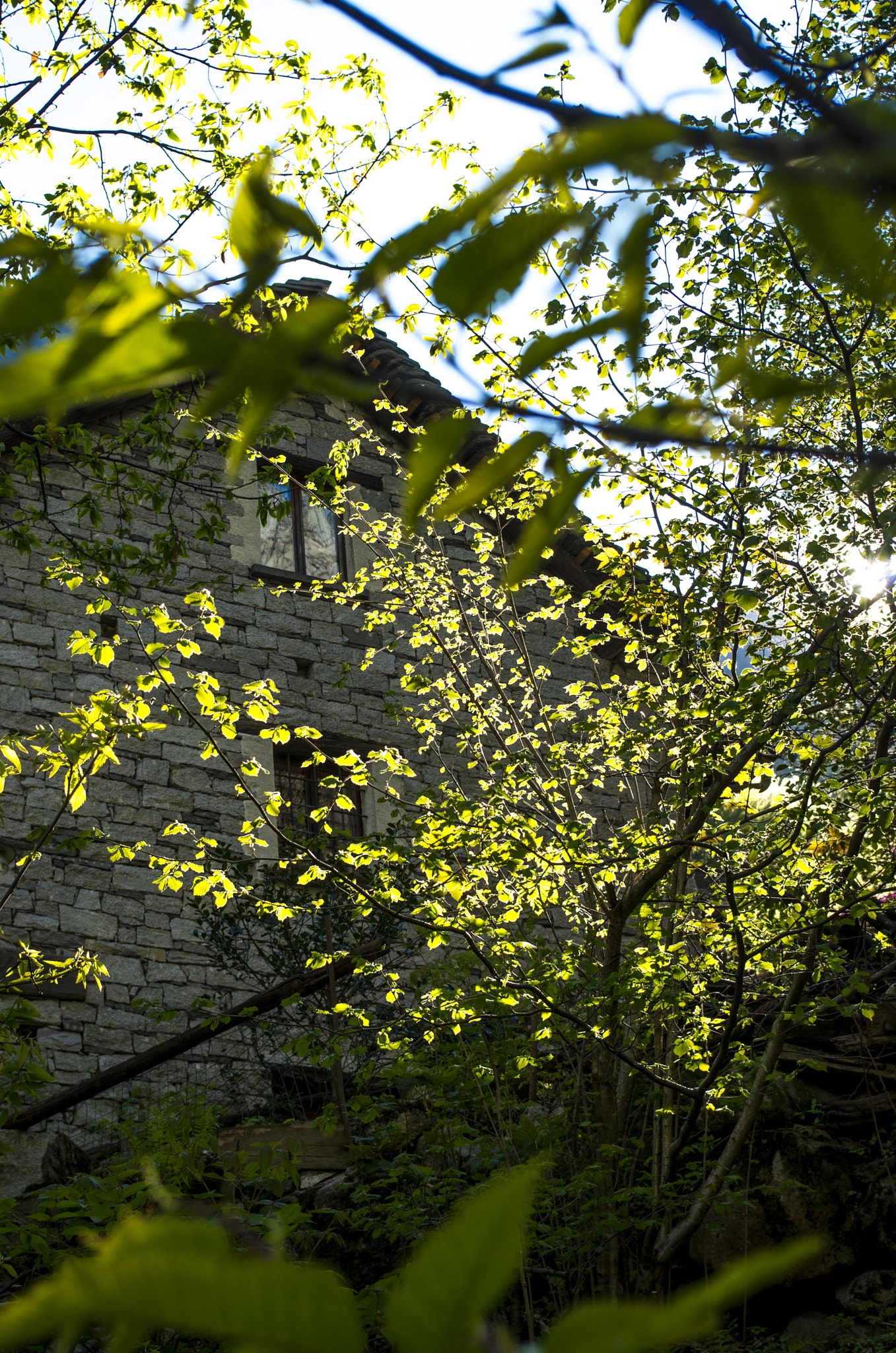 smc PENTAX-DA L 18-55mm F3.5-5.6 sample photo. Casa rústica verzasca photography