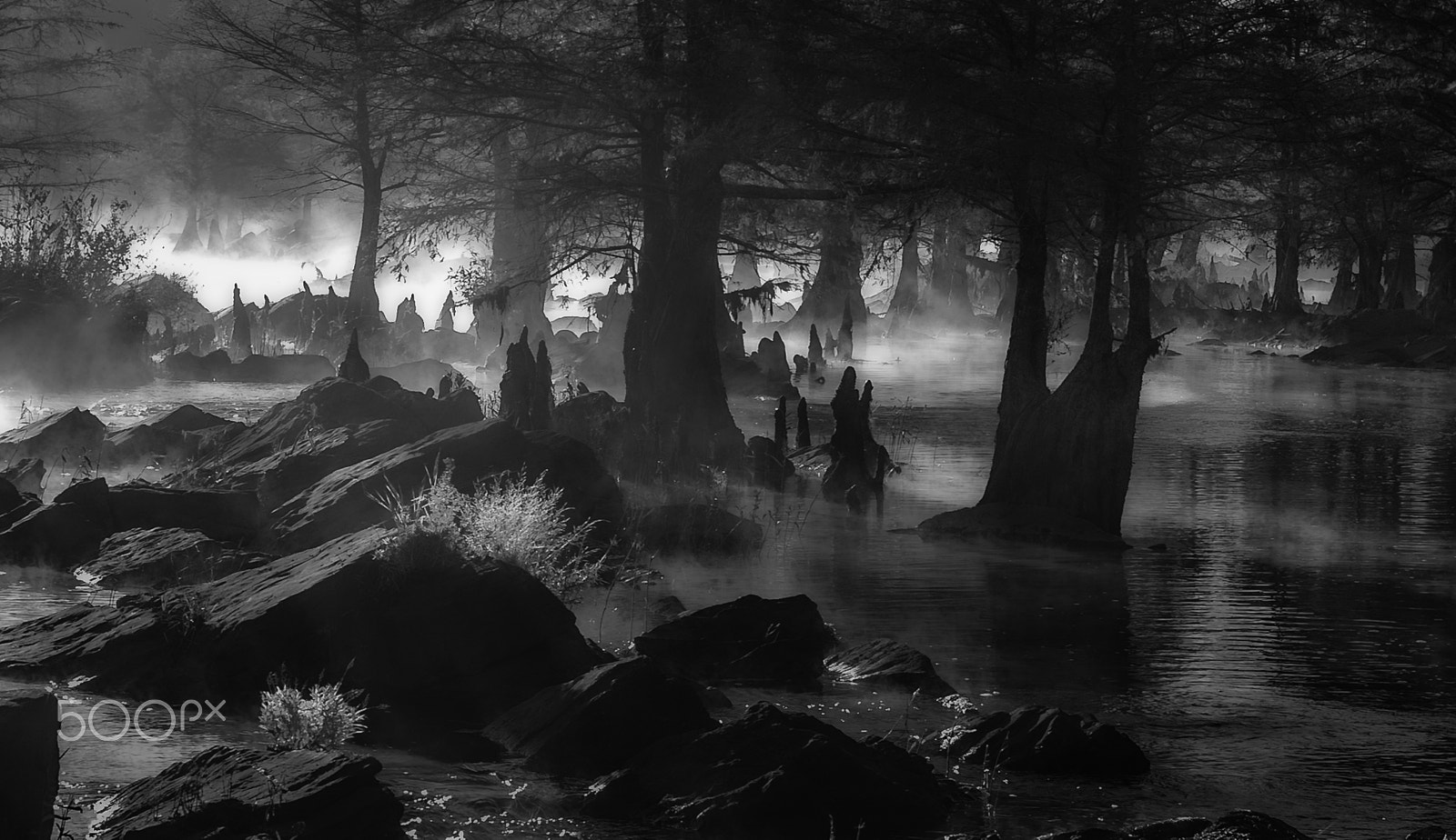 Canon EOS D30 sample photo. Swamp ghosts photography