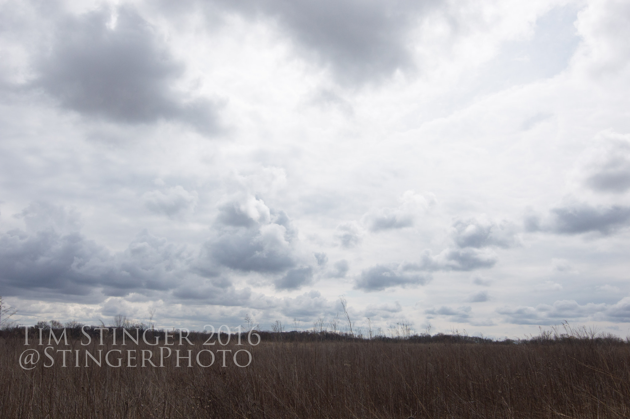 Nikon D3200 + Tokina AT-X 11-20 F2.8 PRO DX (AF 11-20mm f/2.8) sample photo. Bright clouds photography