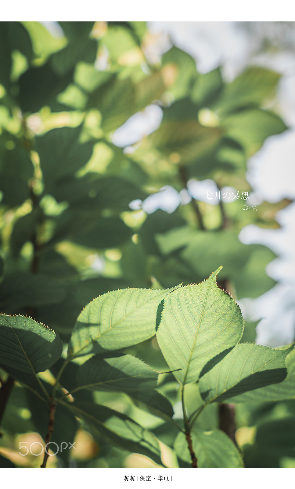 Pentax K-30 + Sigma 50mm F1.4 EX DG HSM sample photo. 4.jpg photography