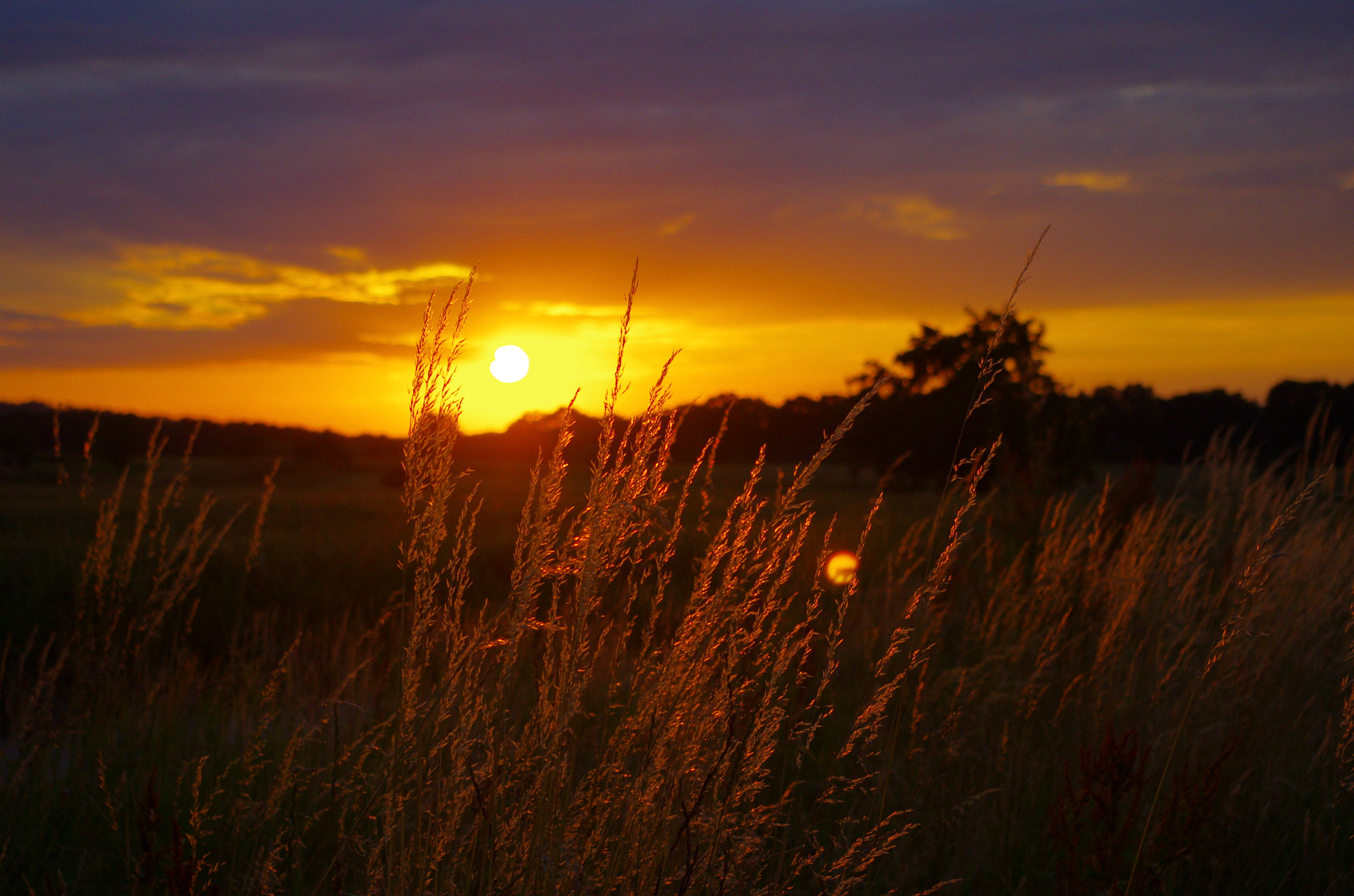 Pentax smc DA 18-55mm F3.5-5.6 AL sample photo. Last evening light photography