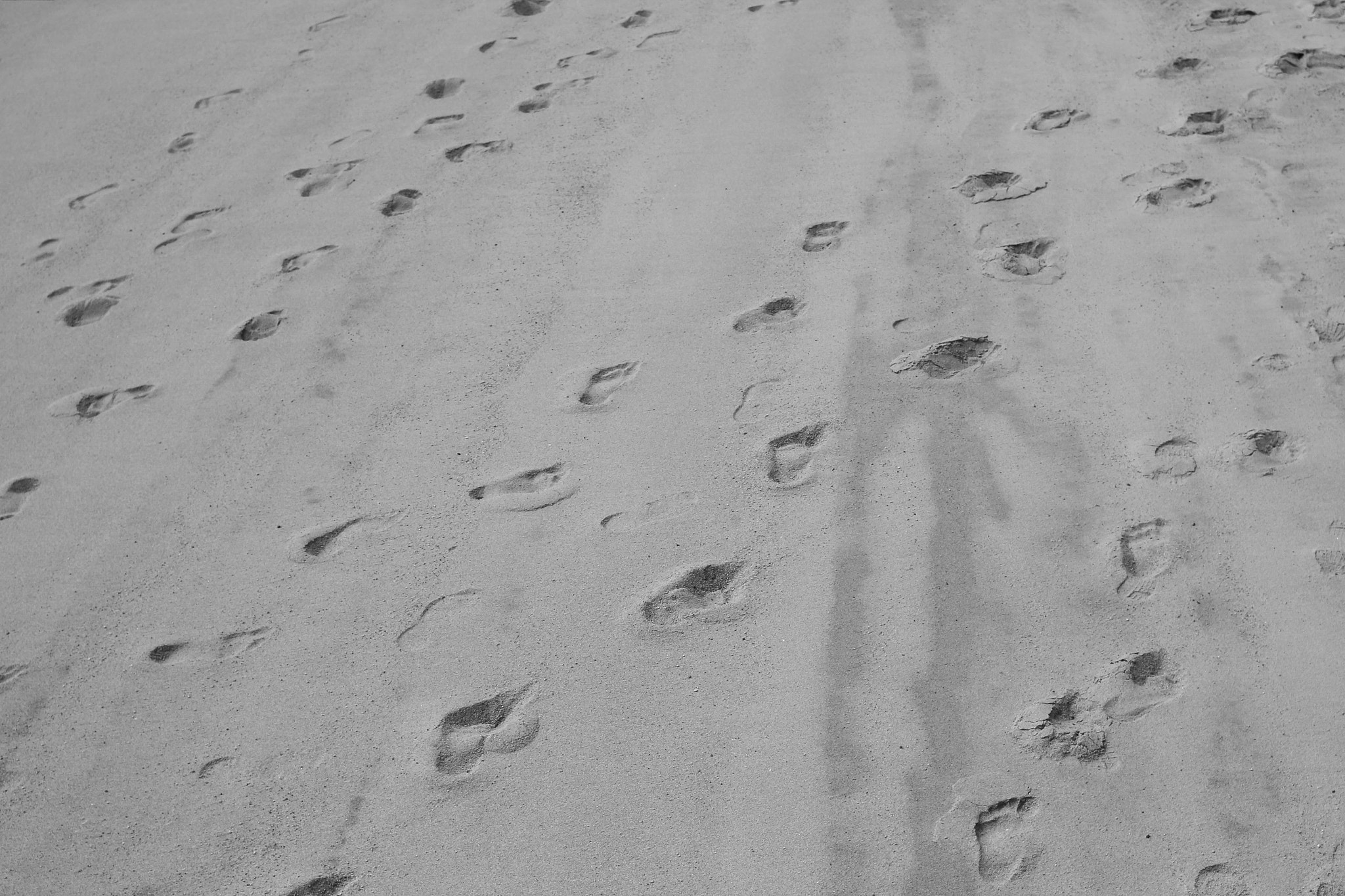 Canon EF 35mm F2 IS USM sample photo. Footprints photography