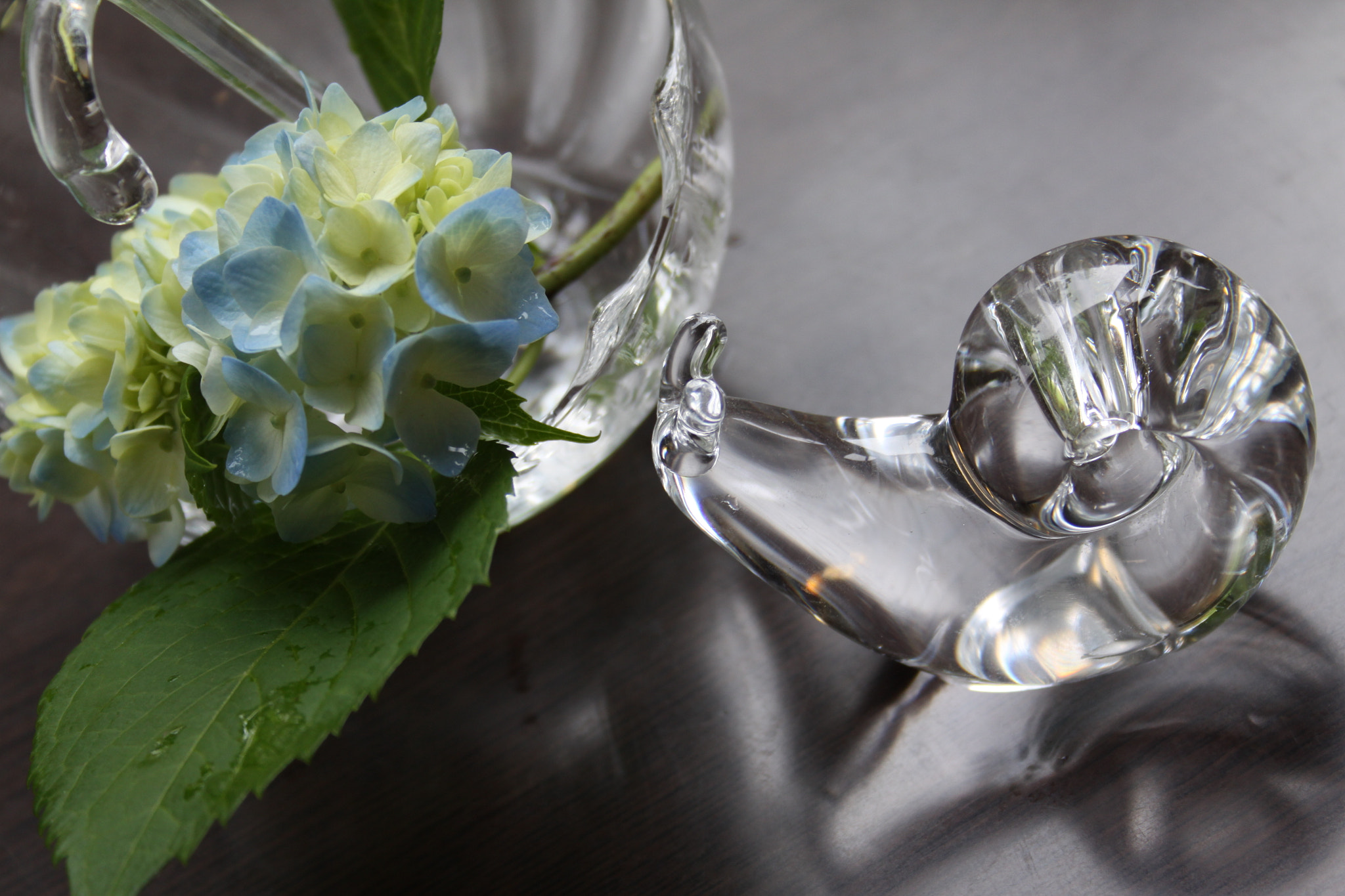 Canon EF-S 18-55mm f/3.5-5.6 USM sample photo. Hydrangea 5 photography