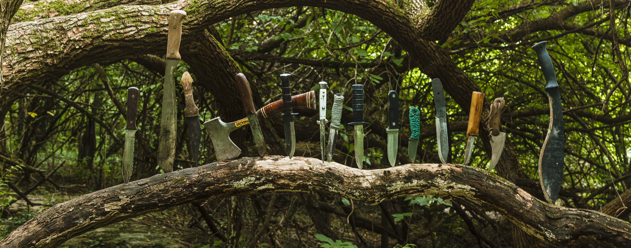 Canon EF 35-80mm f/4-5.6 sample photo. Bailey's knives photography