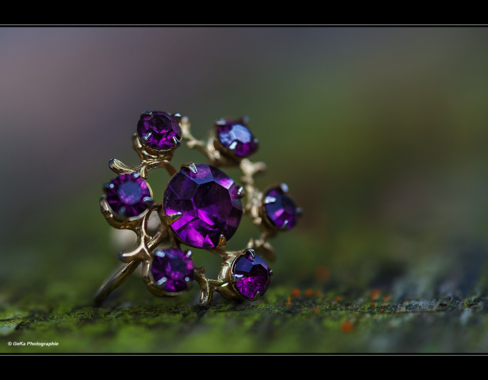 Sigma 105mm F2.8 EX DG Macro sample photo. Schmuckstück photography