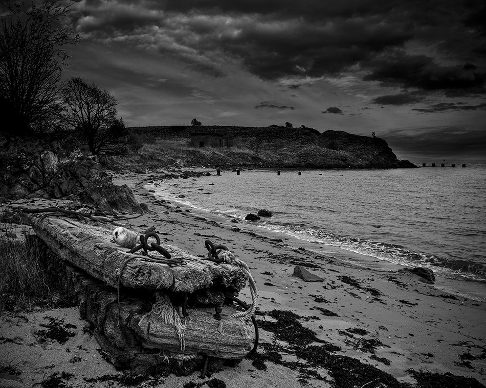 Canon EF 20-35mm F3.5-4.5 USM sample photo. Scotland photography