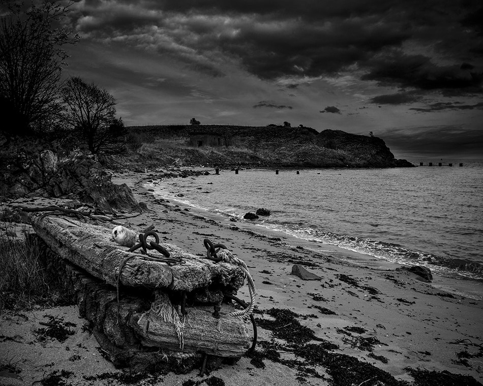 Canon EOS 50D + Canon EF 20-35mm F3.5-4.5 USM sample photo. Scotland photography