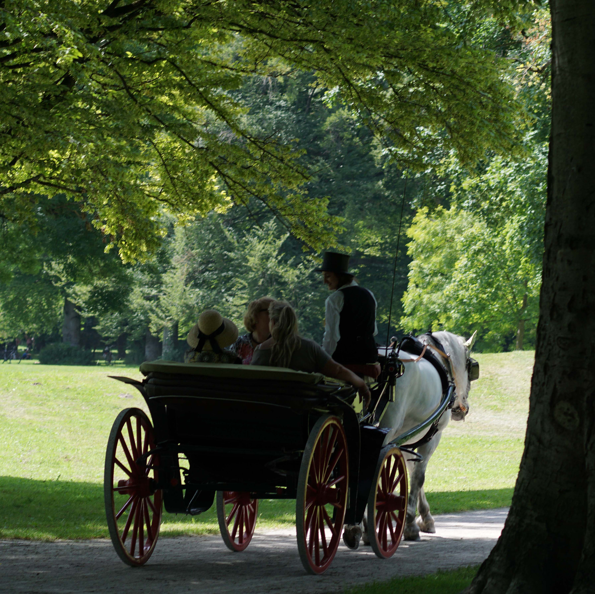 Sony ILCA-77M2 sample photo. Carriage ride in the " englischen garten" munich photography