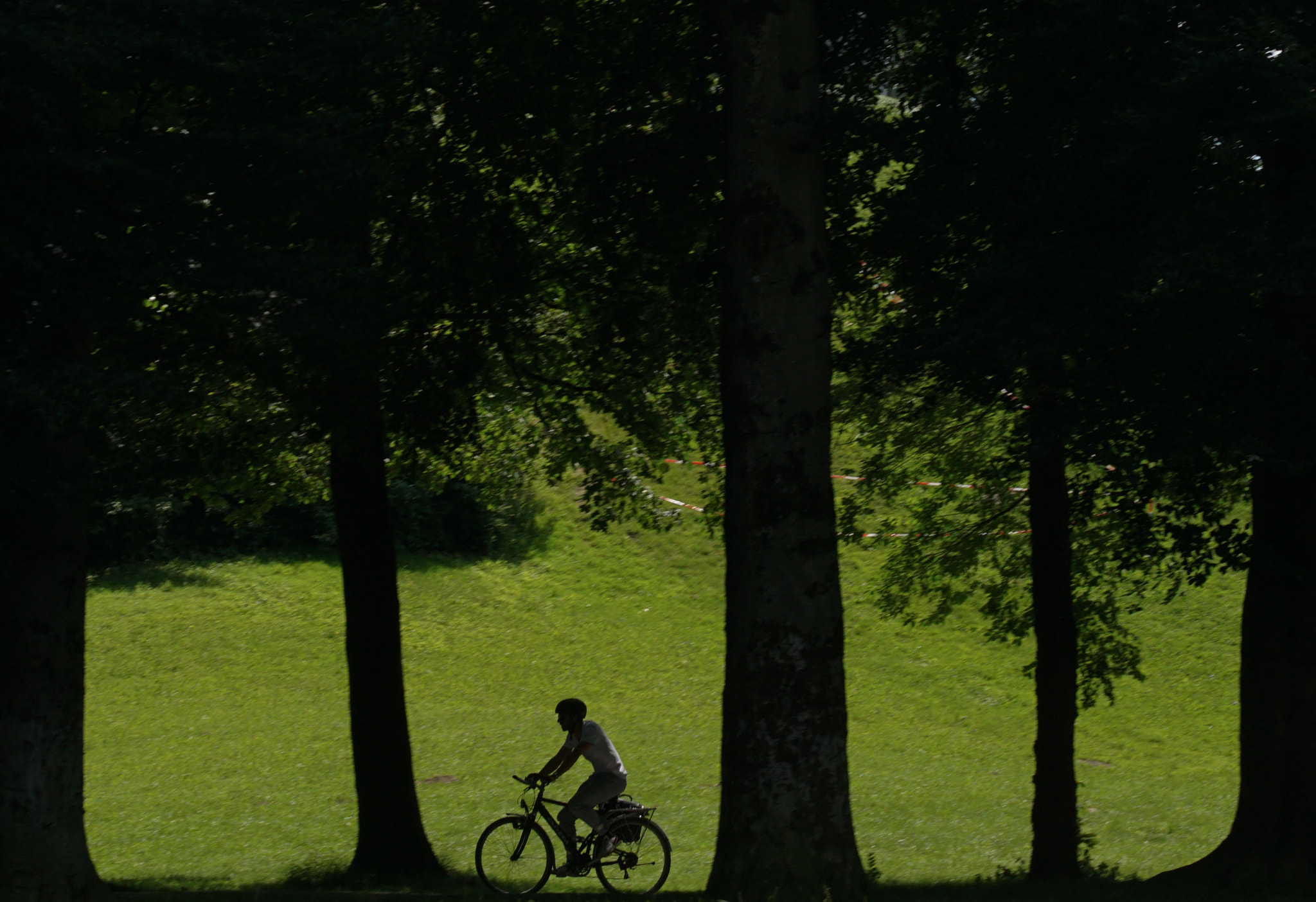 Sony ILCA-77M2 sample photo. Bicycle ride in the parc photography