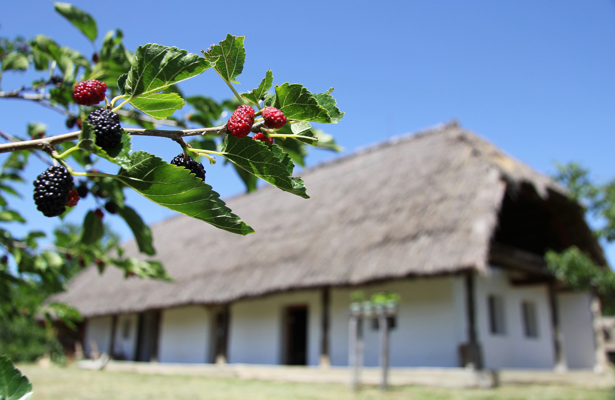 Tokina AT-X 12-28mm F4 Pro DX sample photo. Old hungarian cottage from the transdanubia region photography