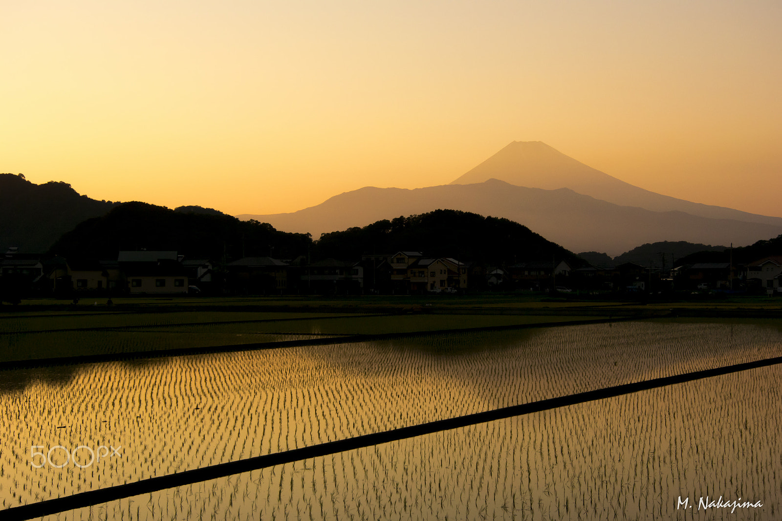Nikon 1 V3 sample photo. Mt.fuji and rice field photography