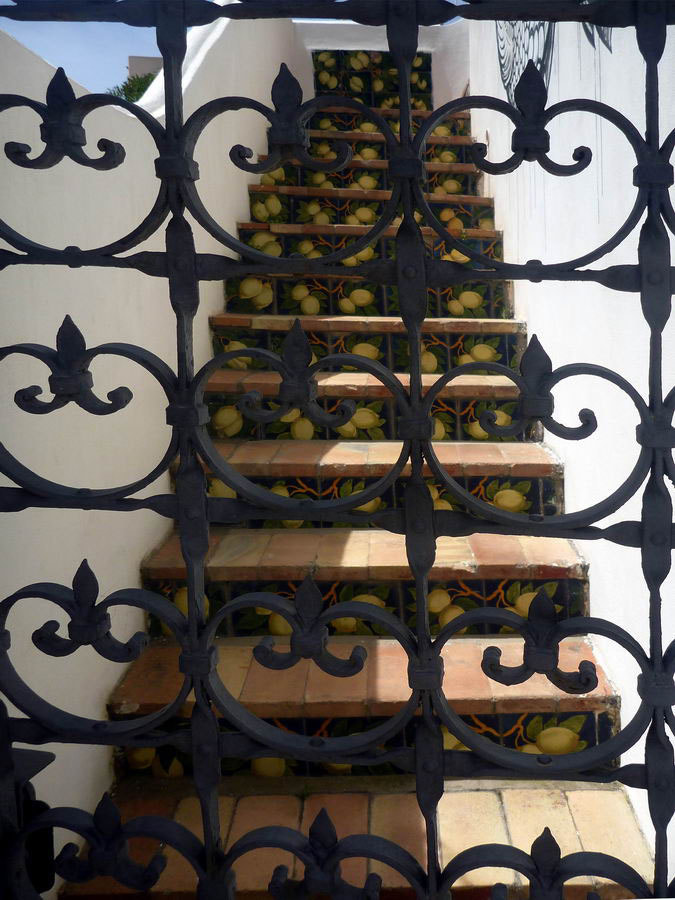 Panasonic DMC-FT1 sample photo. Citrons en marche photography