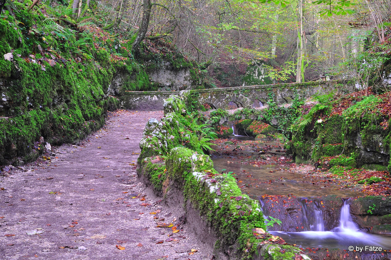 Nikon D90 + Sigma 18-50mm F2.8 EX DC Macro sample photo. Bridge in verenaschlucht photography