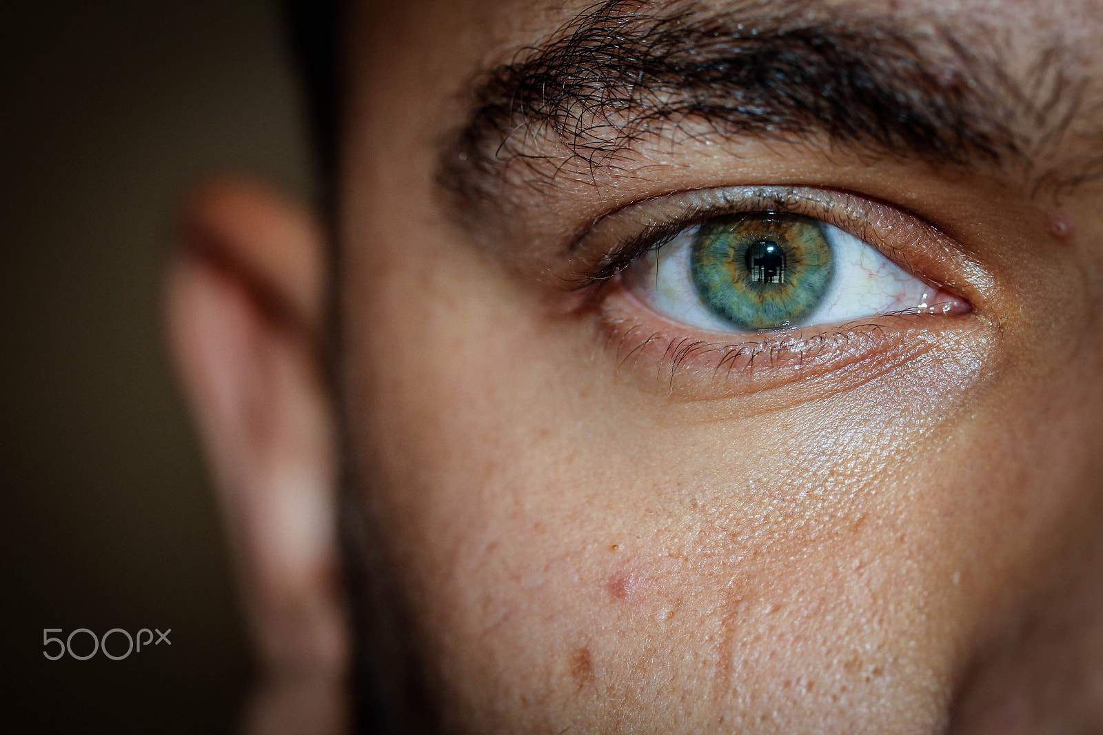 Canon EF-S 60mm F2.8 Macro USM sample photo. Eye in macro photography