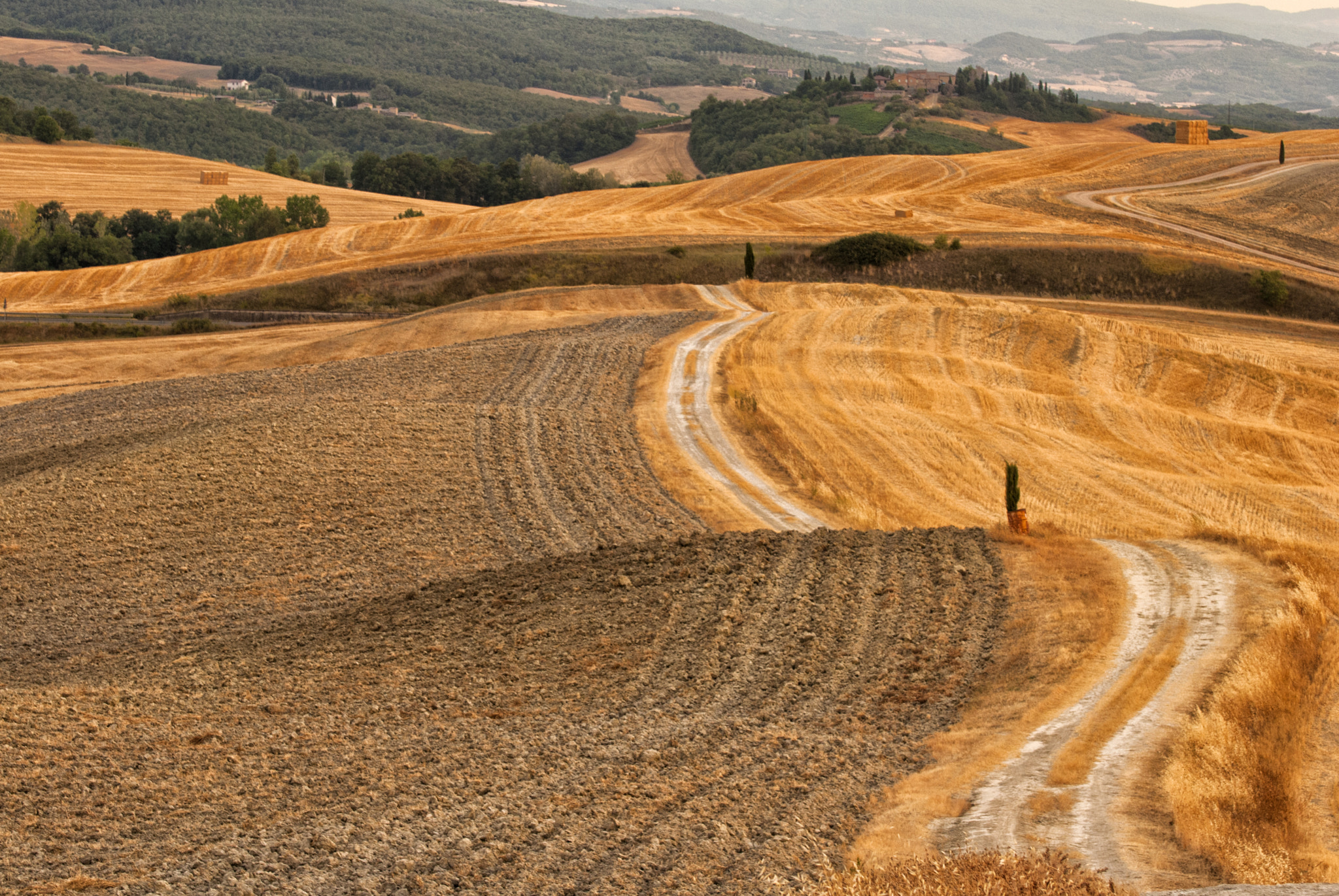Nikon D60 sample photo. Wheat field in val d'orcia photography