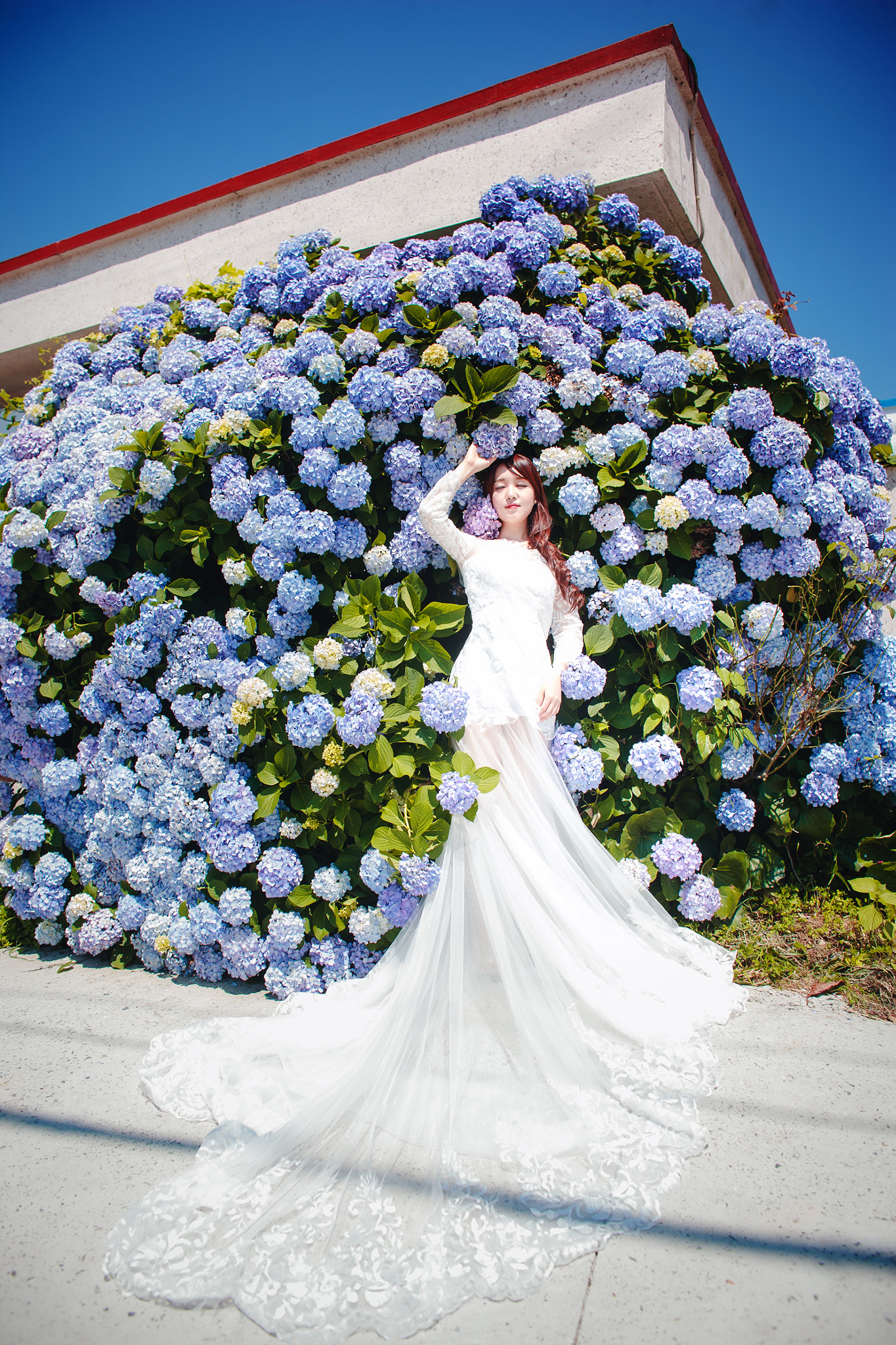 Canon EF 24mm f/1.4L sample photo. Flower photography