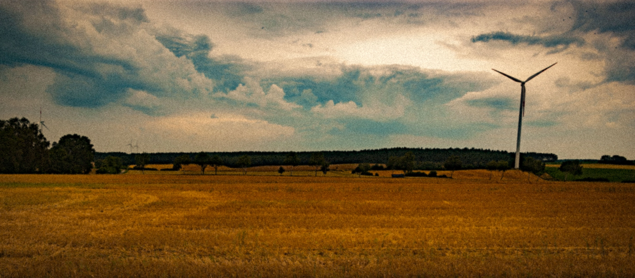 Canon EF 24mm F1.4L II USM sample photo. Herbst photography