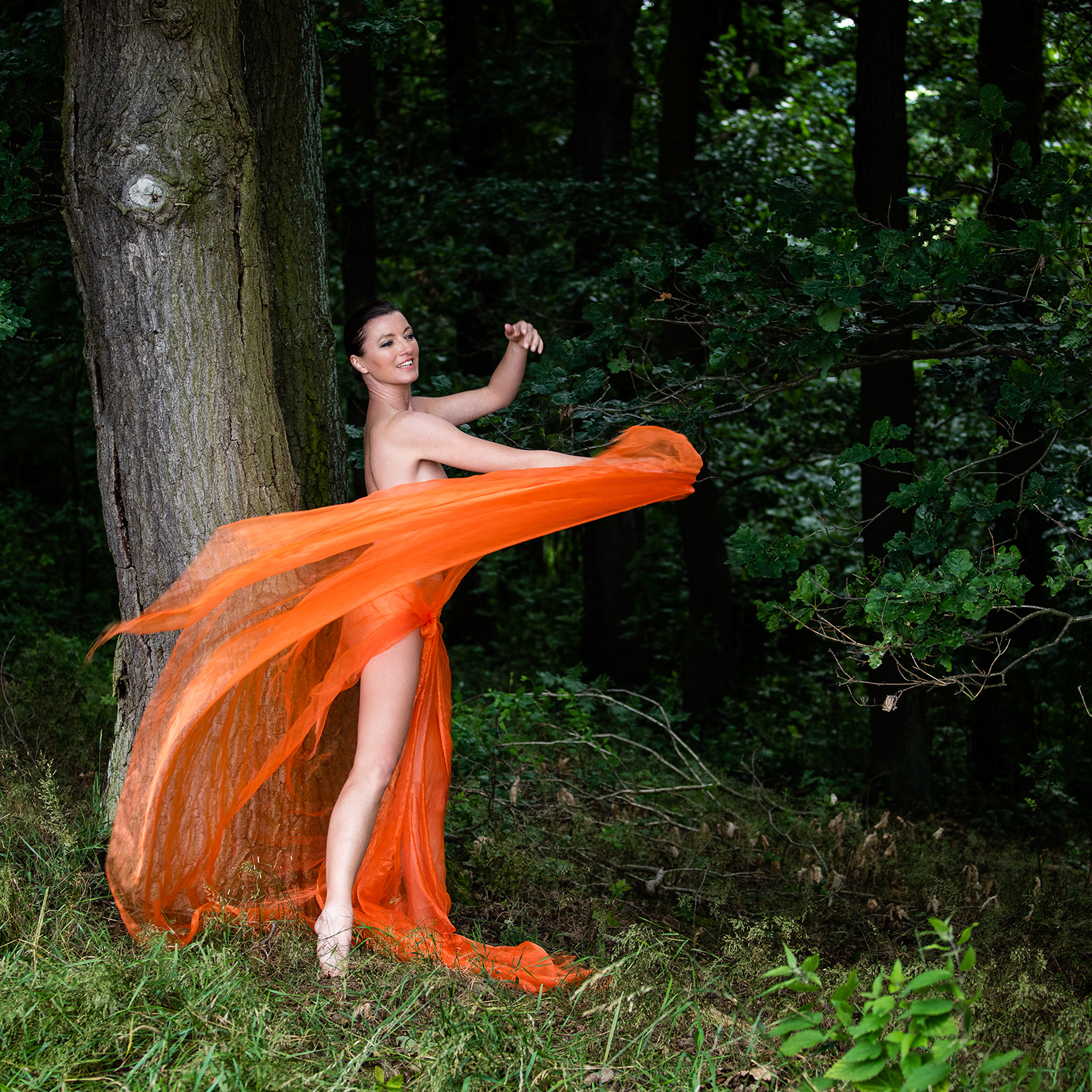 Canon EOS 5DS + Canon EF 70-200mm F4L IS USM sample photo. Orange photography