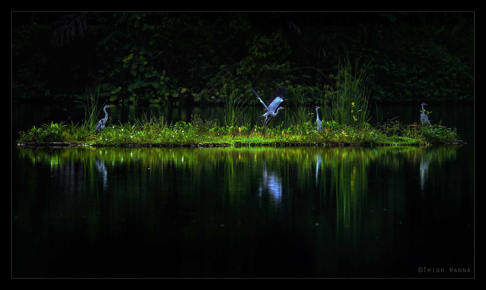Nikon D4S sample photo. As smart object copy photography