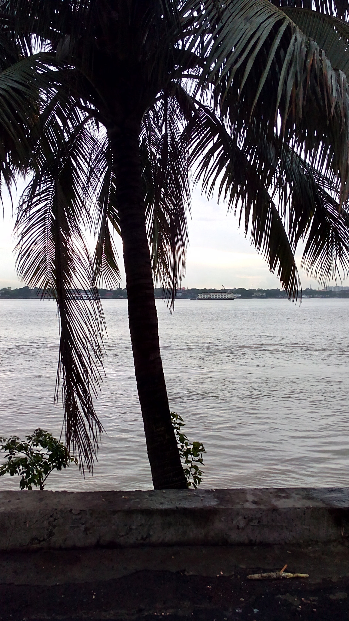 Micromax Canvas Spark sample photo