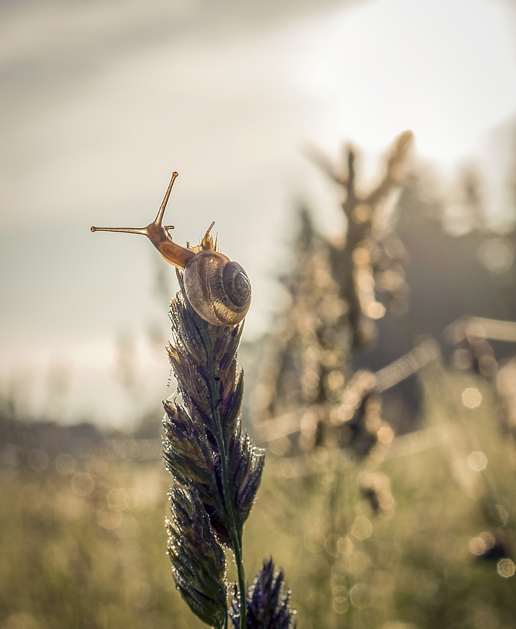 Sony DT 30mm F2.8 Macro SAM sample photo. Look to the future.... photography