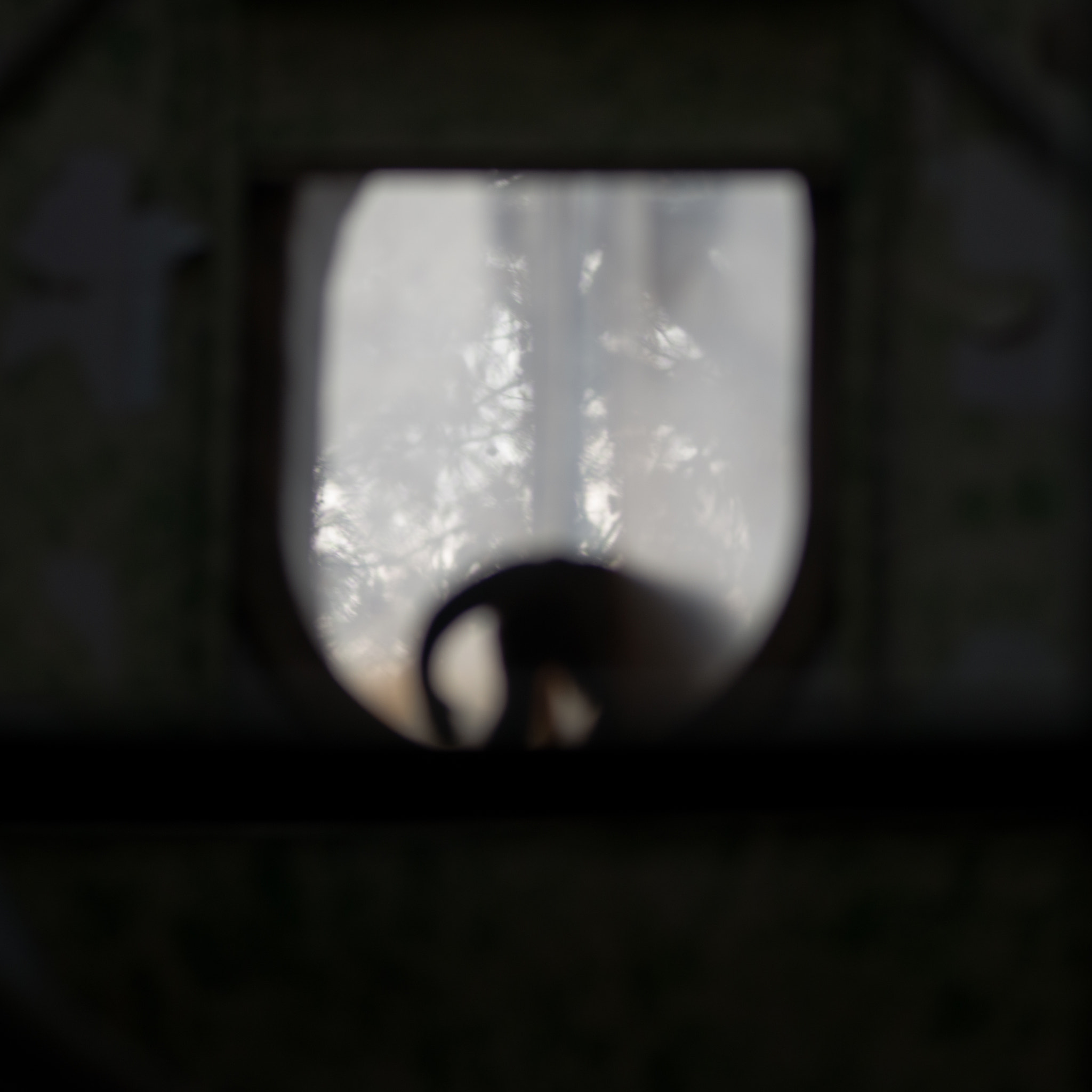 Nikon AF Nikkor 180mm F2.8D ED-IF sample photo. Human zoo photography
