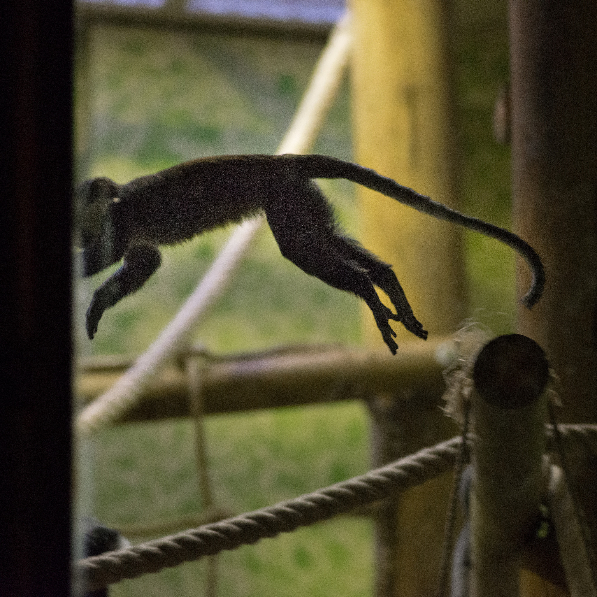 Nikon AF Nikkor 180mm F2.8D ED-IF sample photo. Human zoo photography