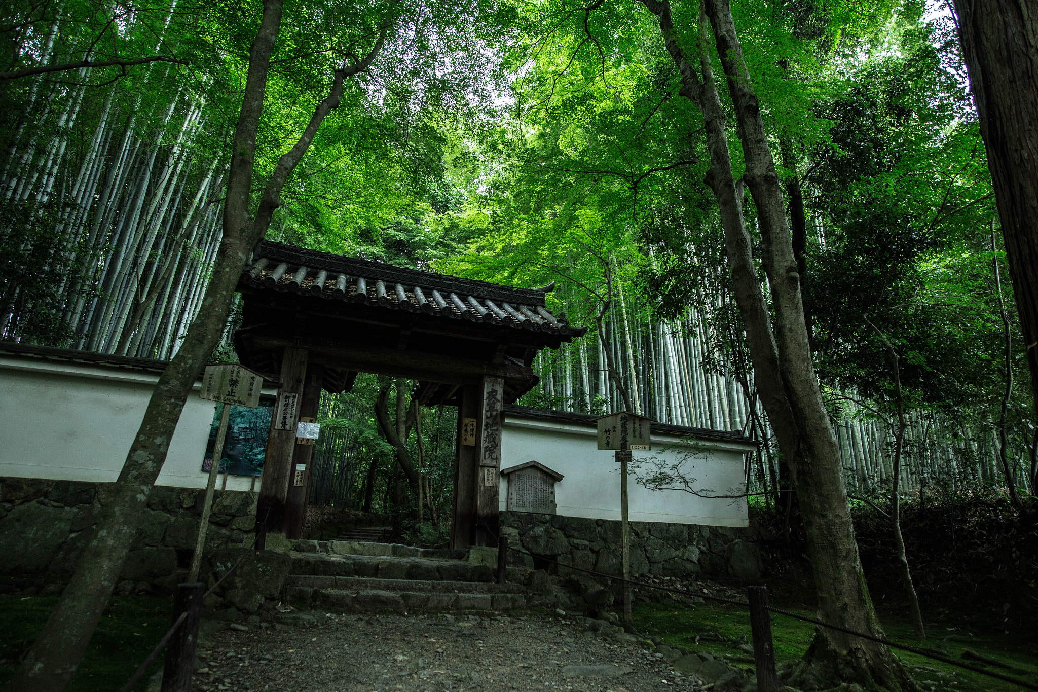 Sigma 20mm EX f/1.8 sample photo