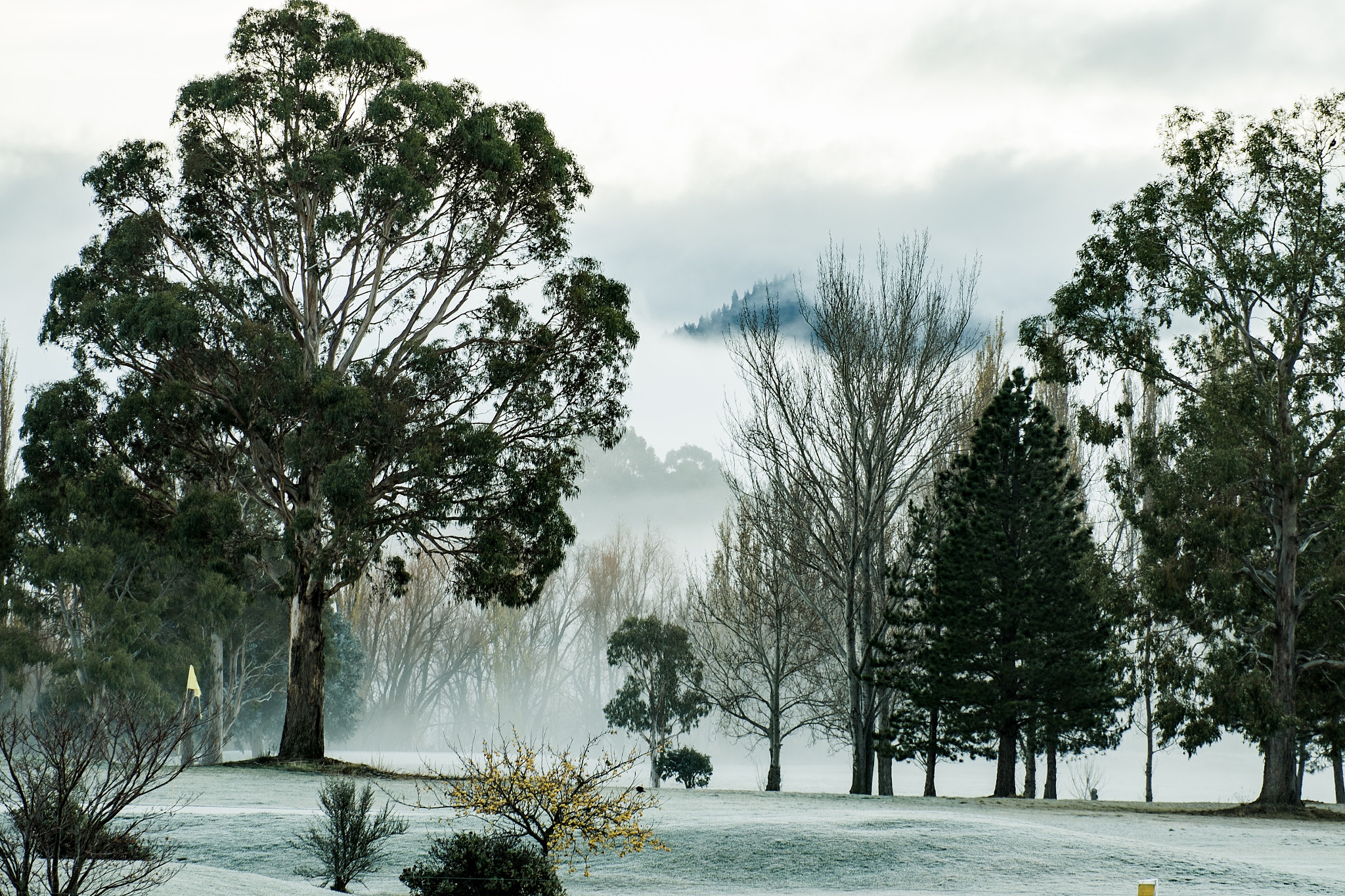 Fujifilm X-Pro1 + Fujifilm XC 50-230mm F4.5-6.7 OIS sample photo. A foggy day in otematata photography