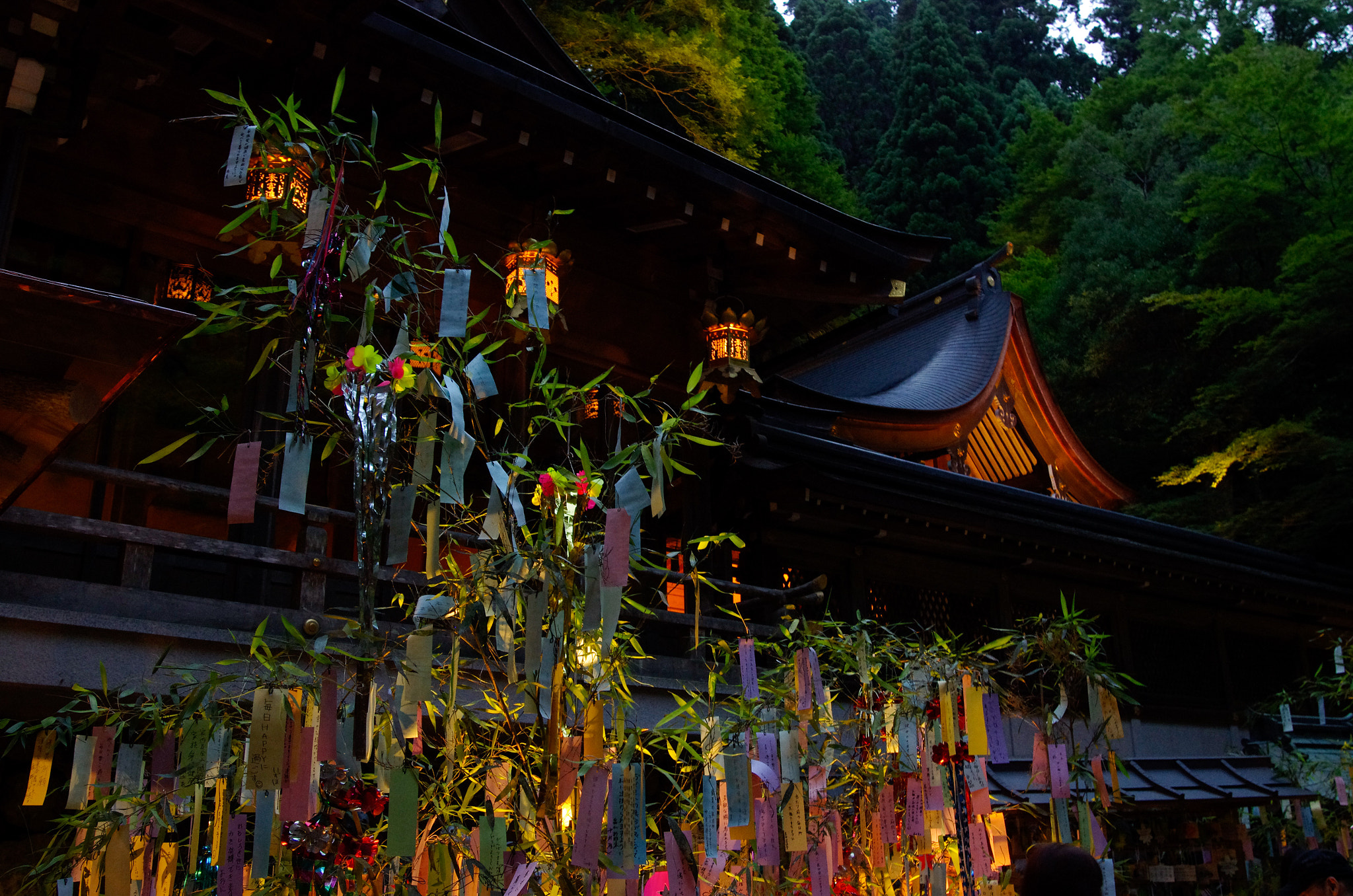 Pentax K-5 IIs sample photo