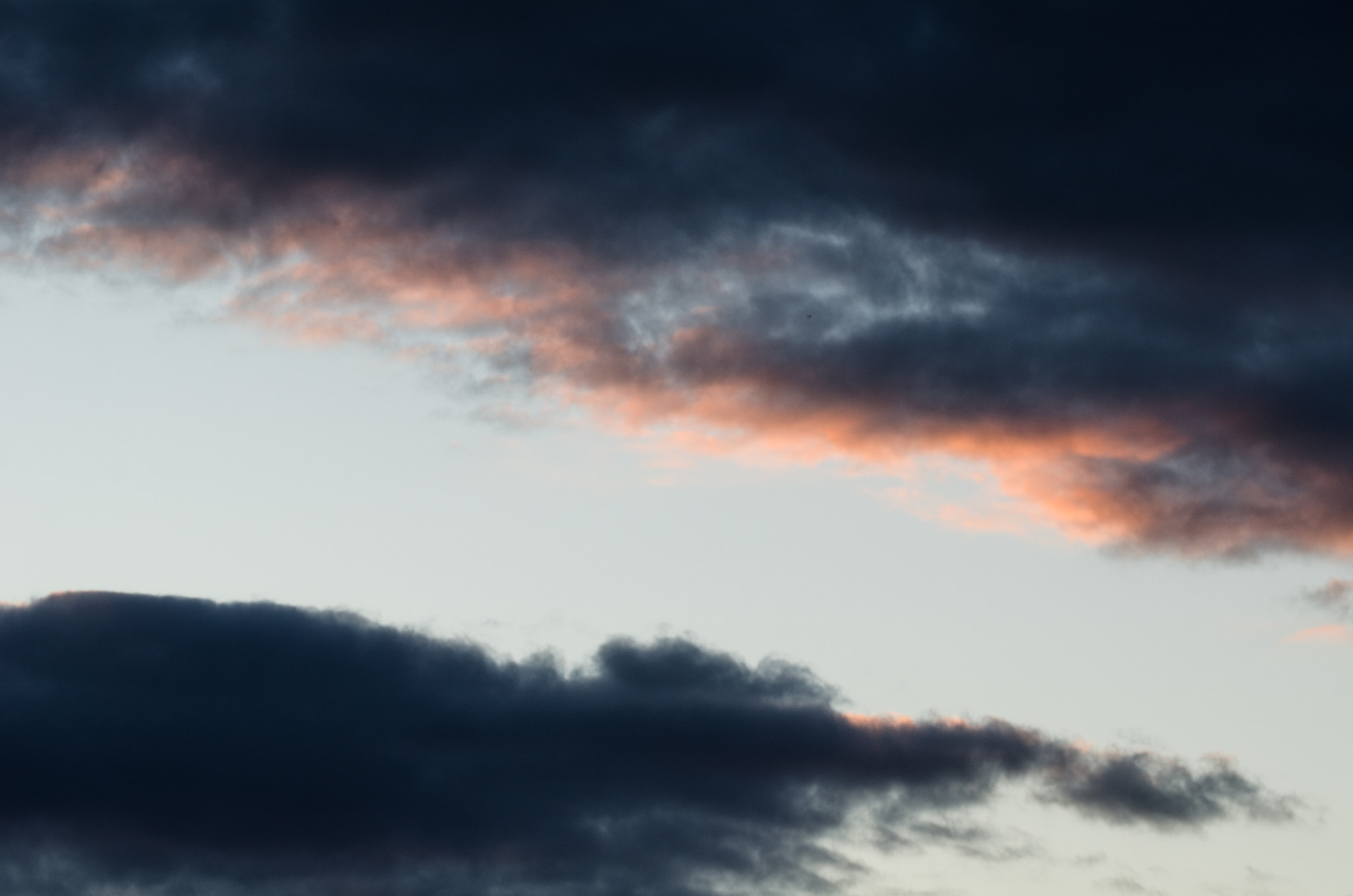 Sigma 150mm F2.8 EX DG OS Macro HSM sample photo. ... photography