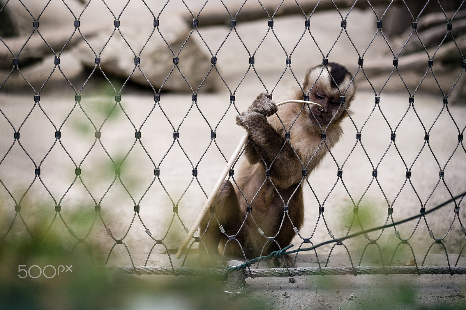 Canon EOS-1D Mark III + Canon EF 50mm F1.8 II sample photo. Prison break photography