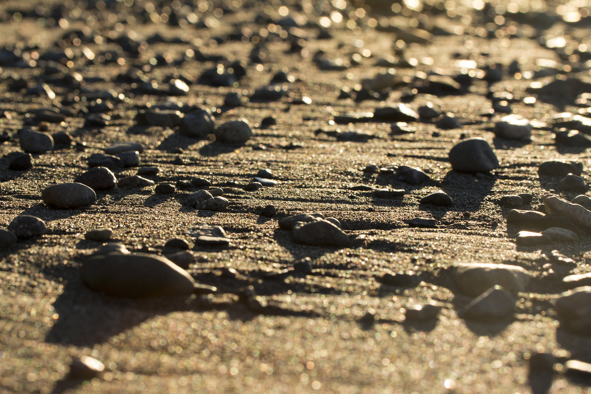 Canon EOS 650D (EOS Rebel T4i / EOS Kiss X6i) + Tamron SP AF 60mm F2 Di II LD IF Macro sample photo. Beach photography