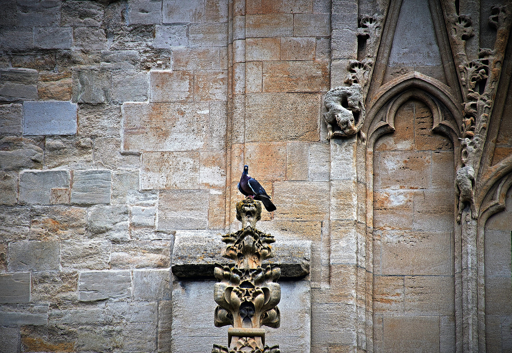Fujifilm X-A2 + Fujifilm XC 50-230mm F4.5-6.7 OIS sample photo. The bird and the 11th century cathedral... photography