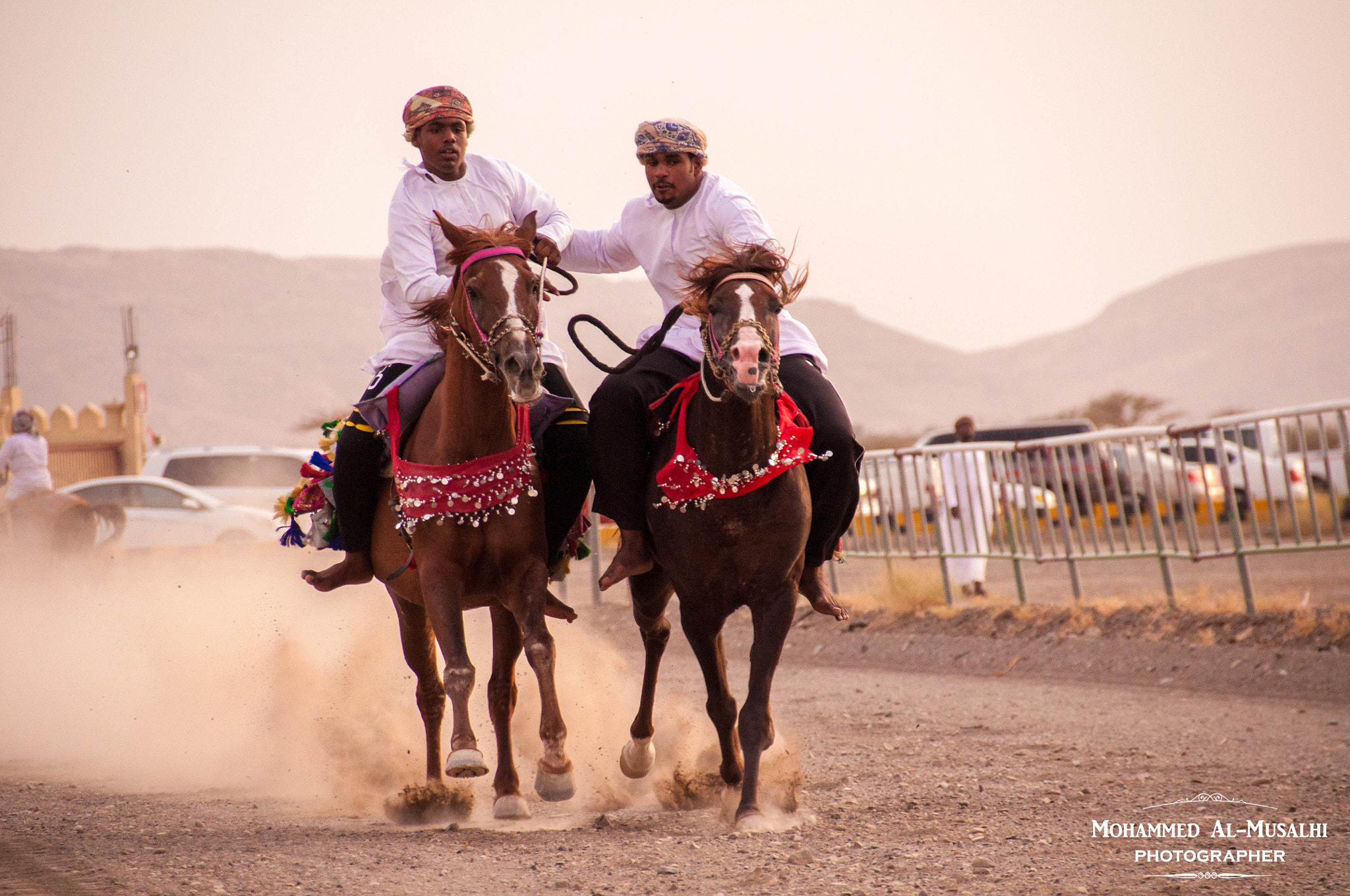 Sigma 18-250mm F3.5-6.3 DC Macro OS HSM sample photo. Alarda show photography