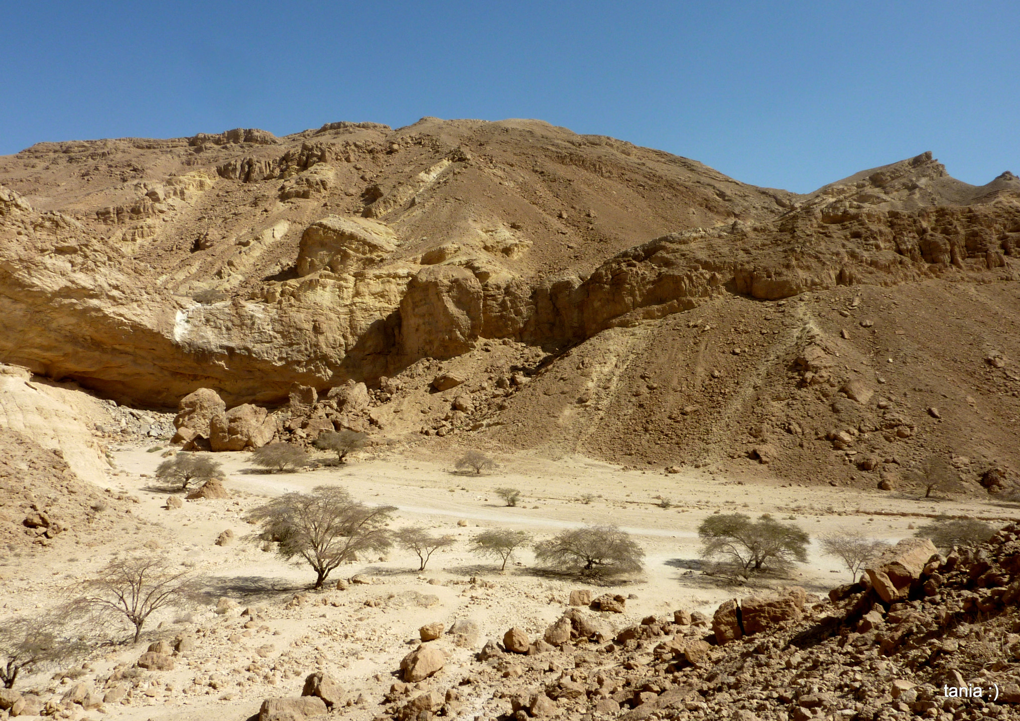 Panasonic DMC-ZS3 sample photo. Negev photography