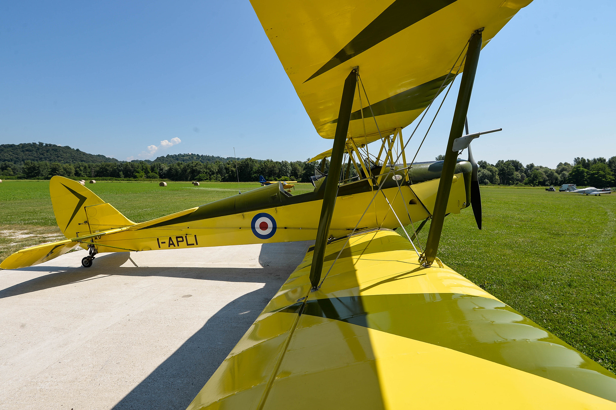 Nikon D4 sample photo. De havillard 1931 photography