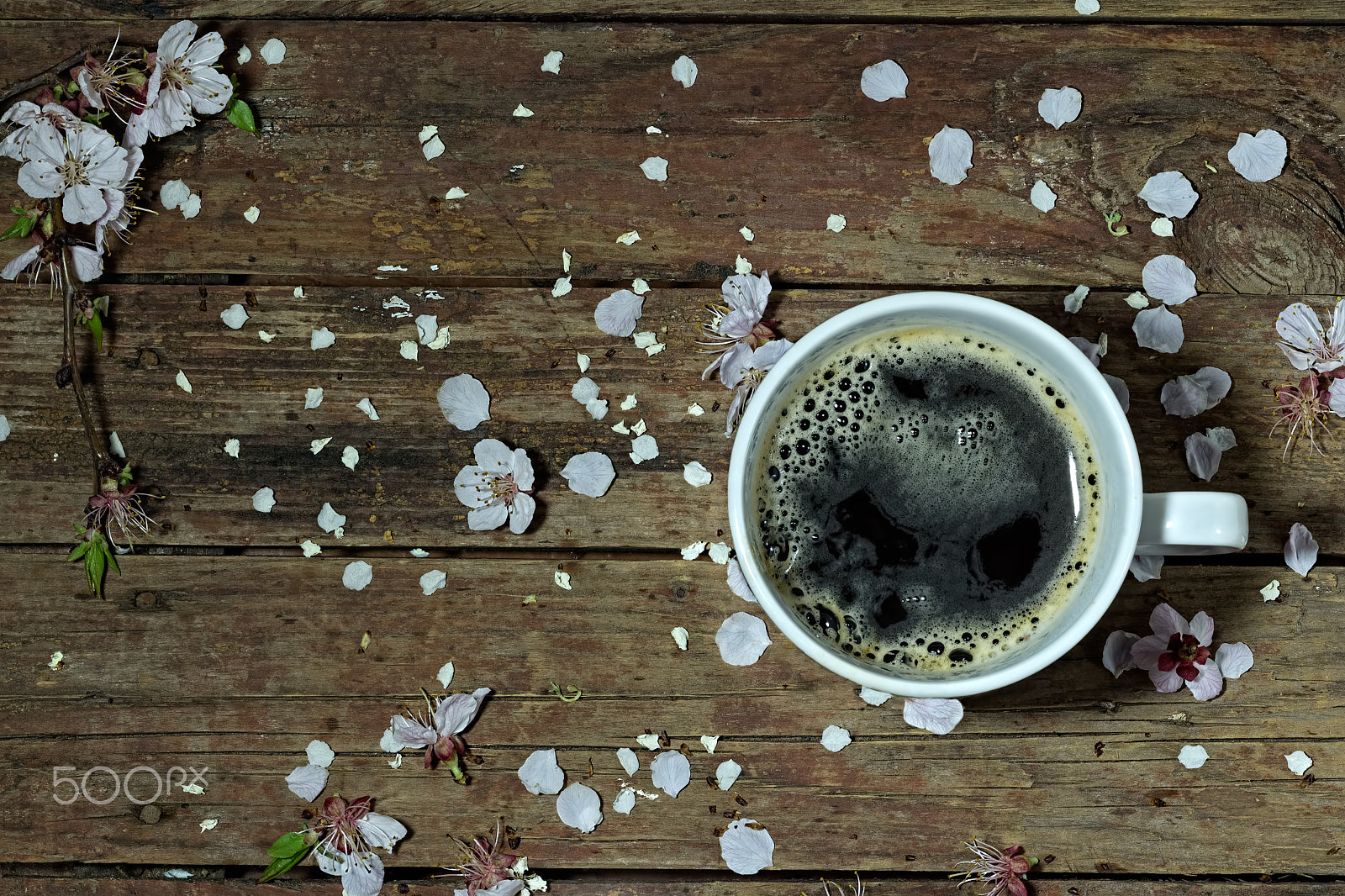 Canon EF 100mm F2.8 Macro USM sample photo. Sping background with flowers and cup of cofee photography
