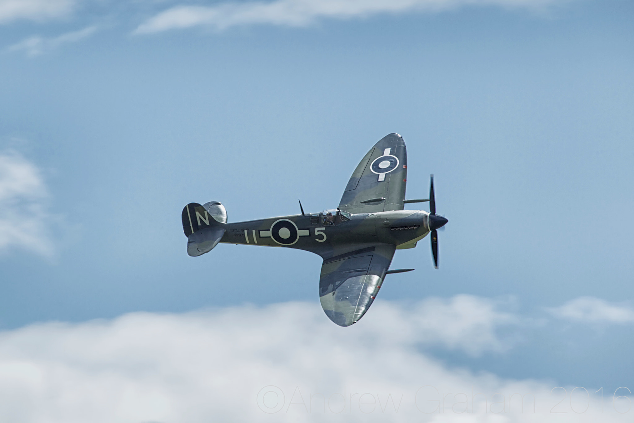Canon EF 100-400mm F4.5-5.6L IS USM sample photo. Seafire lfiiic photography