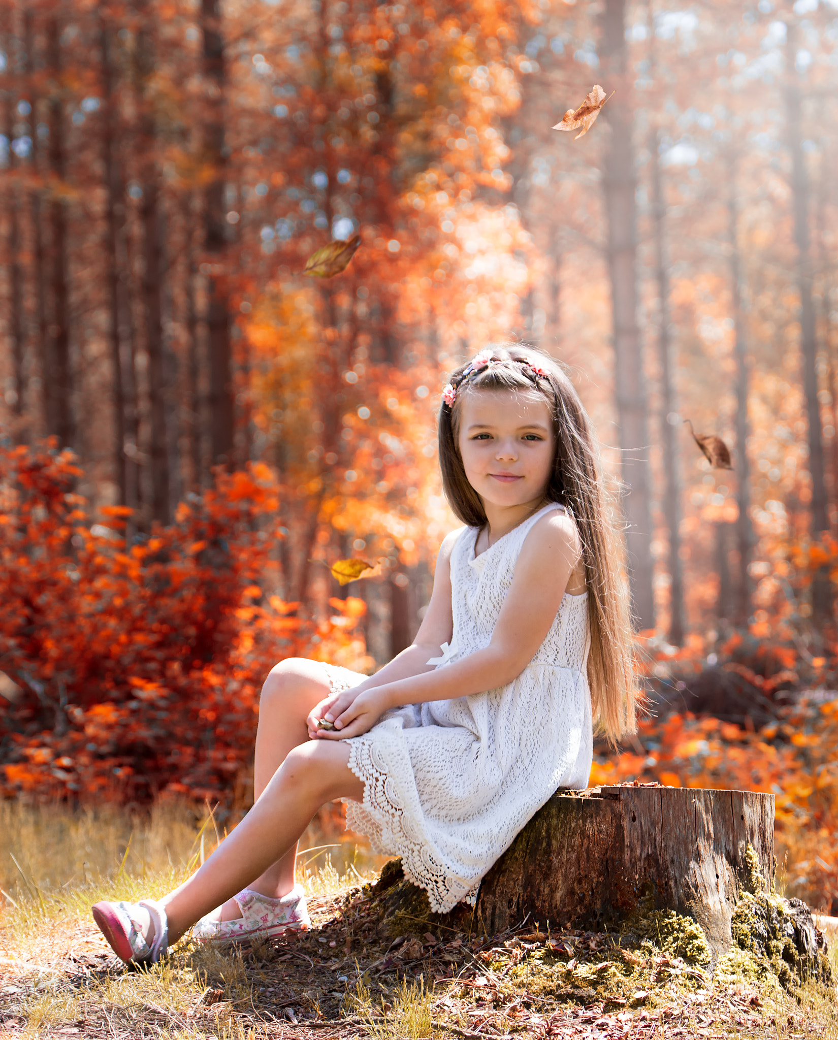 Canon EF 70-300mm F4-5.6L IS USM sample photo. Falling into autumn photography