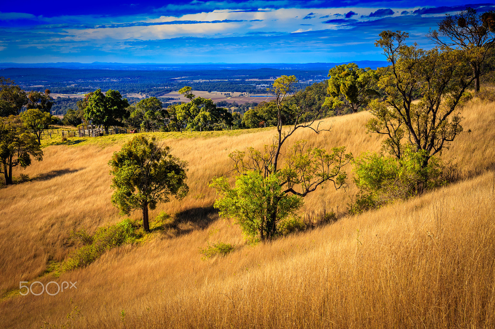 Canon EOS 5DS + Canon EF 50mm F1.8 II sample photo. Yellow land photography