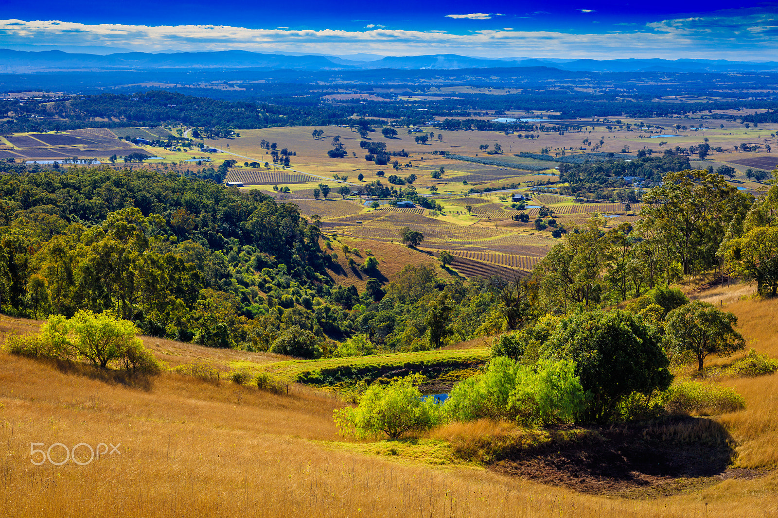 Canon EOS 5DS + Canon EF 50mm F1.8 II sample photo. Hunter valley mount view lookout photography