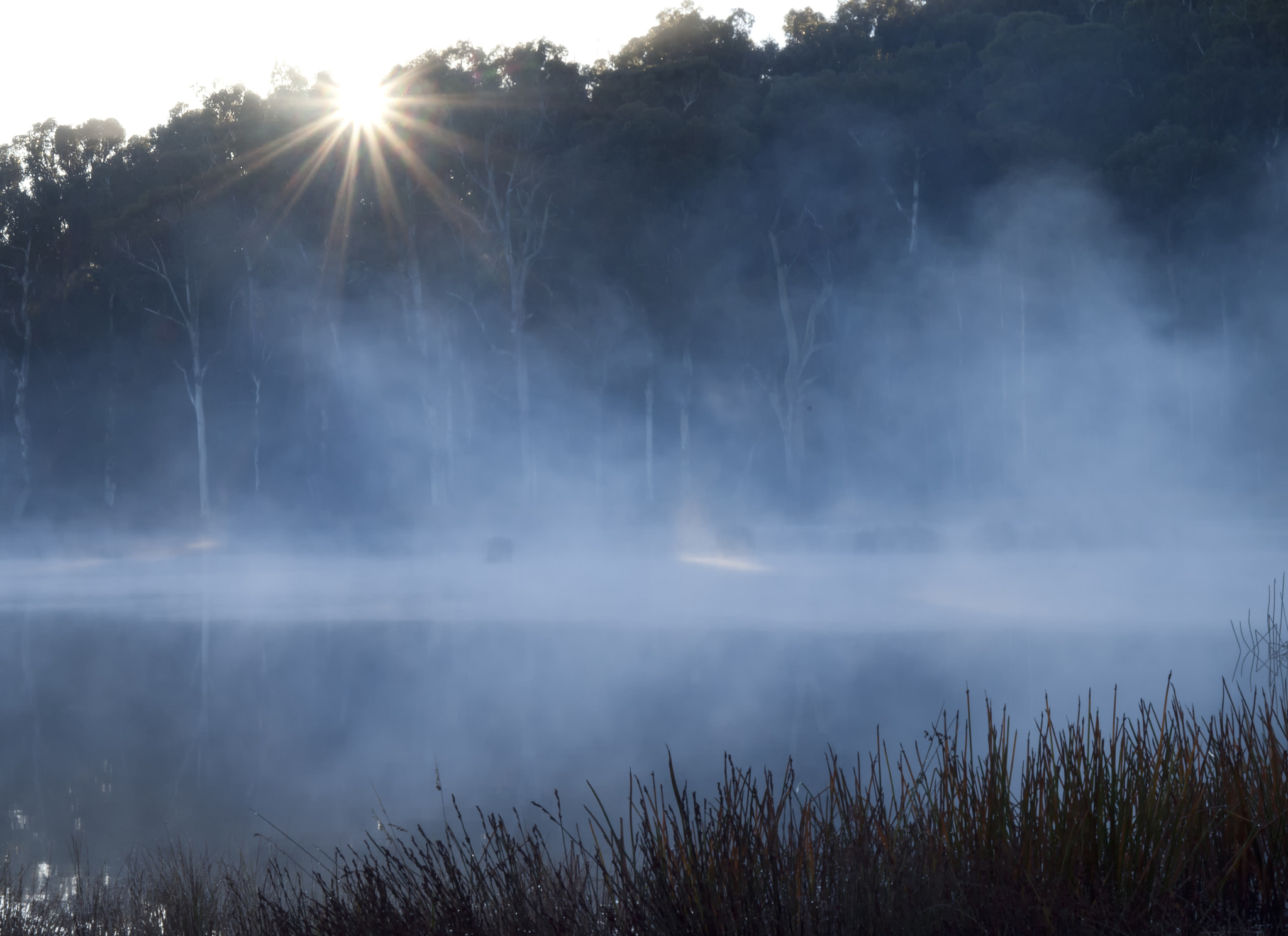 Olympus Zuiko Digital 14-54mm F2.8-3.5 II sample photo. Early morning sunrise photography