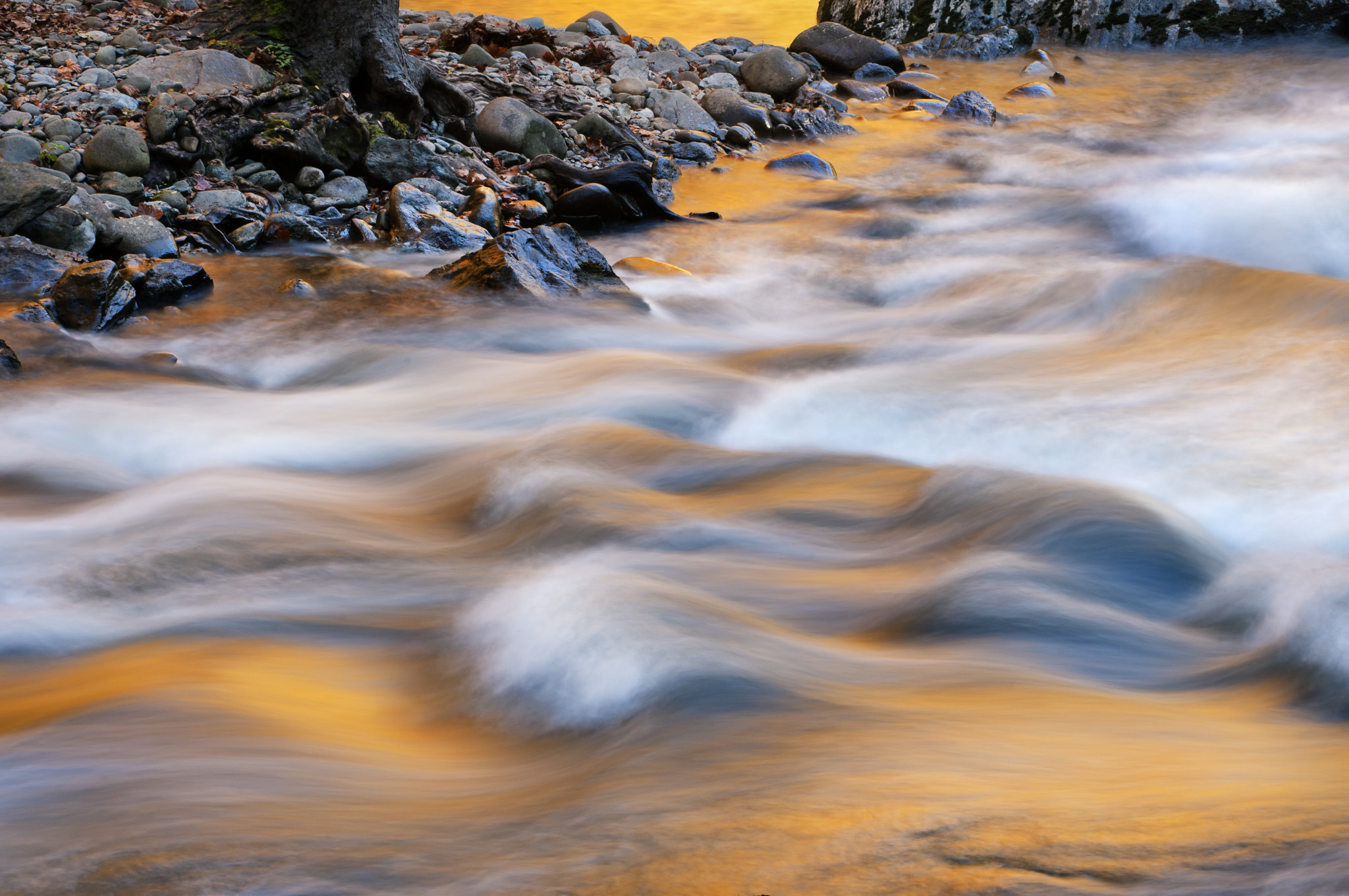 Nikon D2X sample photo. Little river golden photography