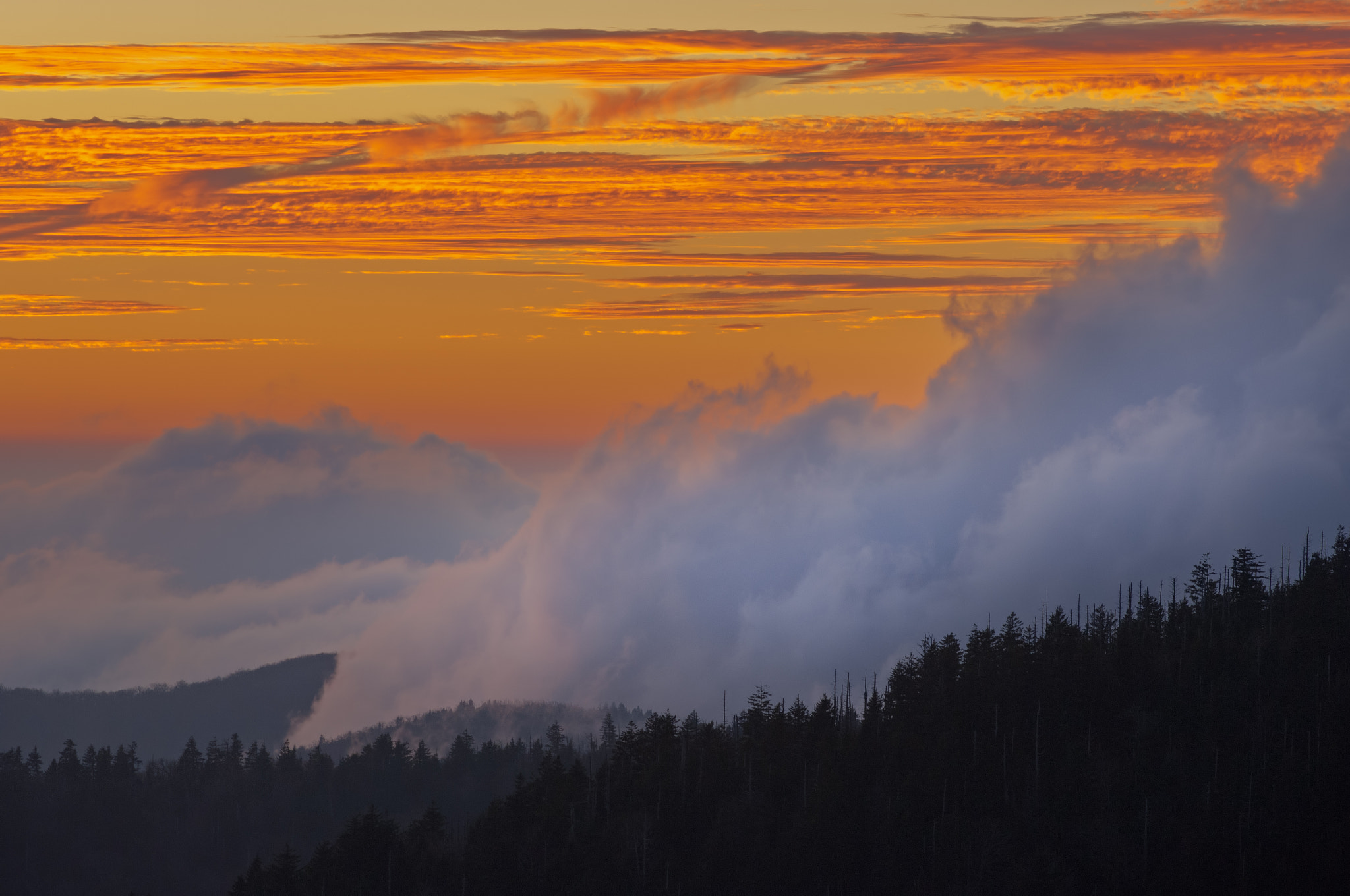 Nikon D2X sample photo. Twilight clingman's dome photography
